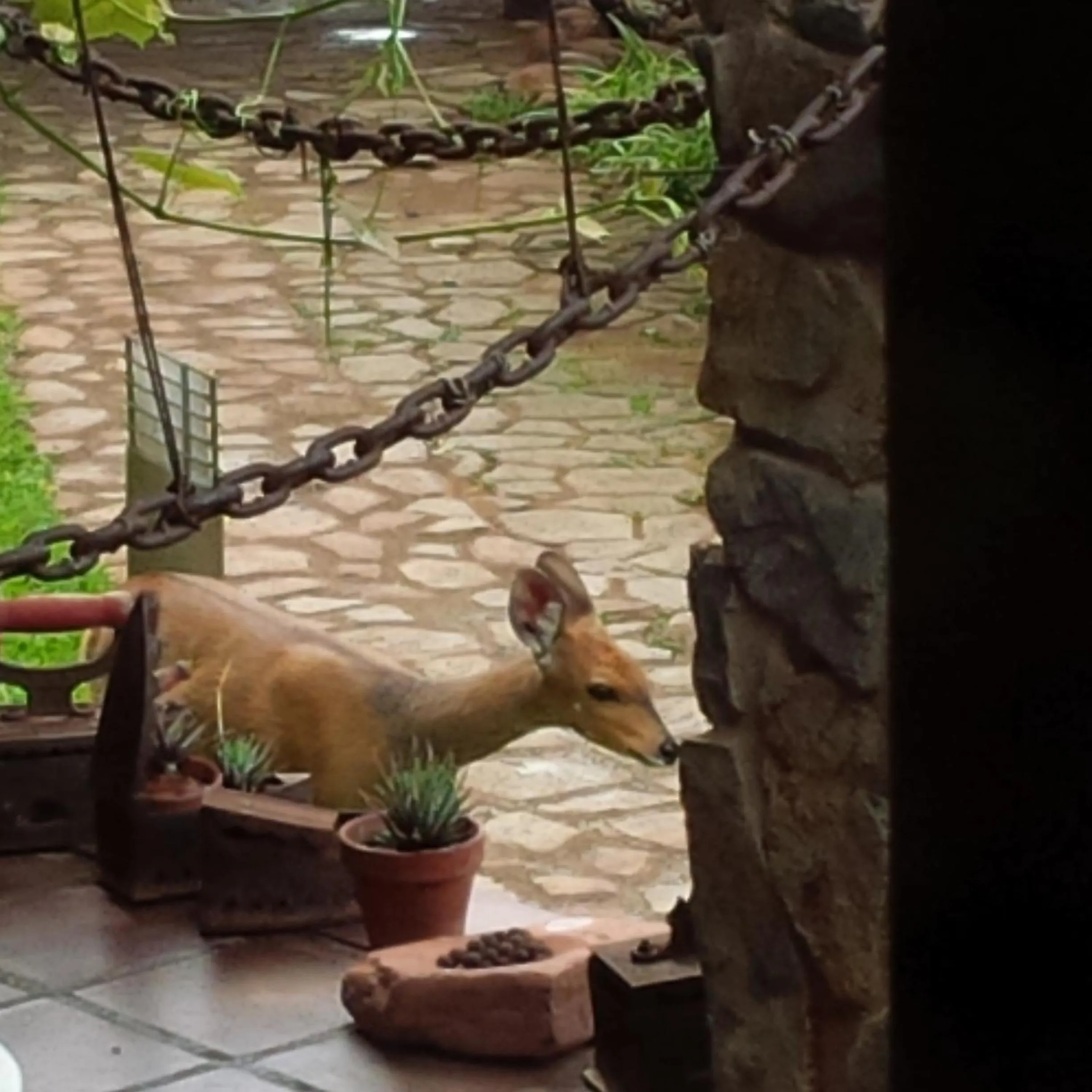 Property building in River House Lodge