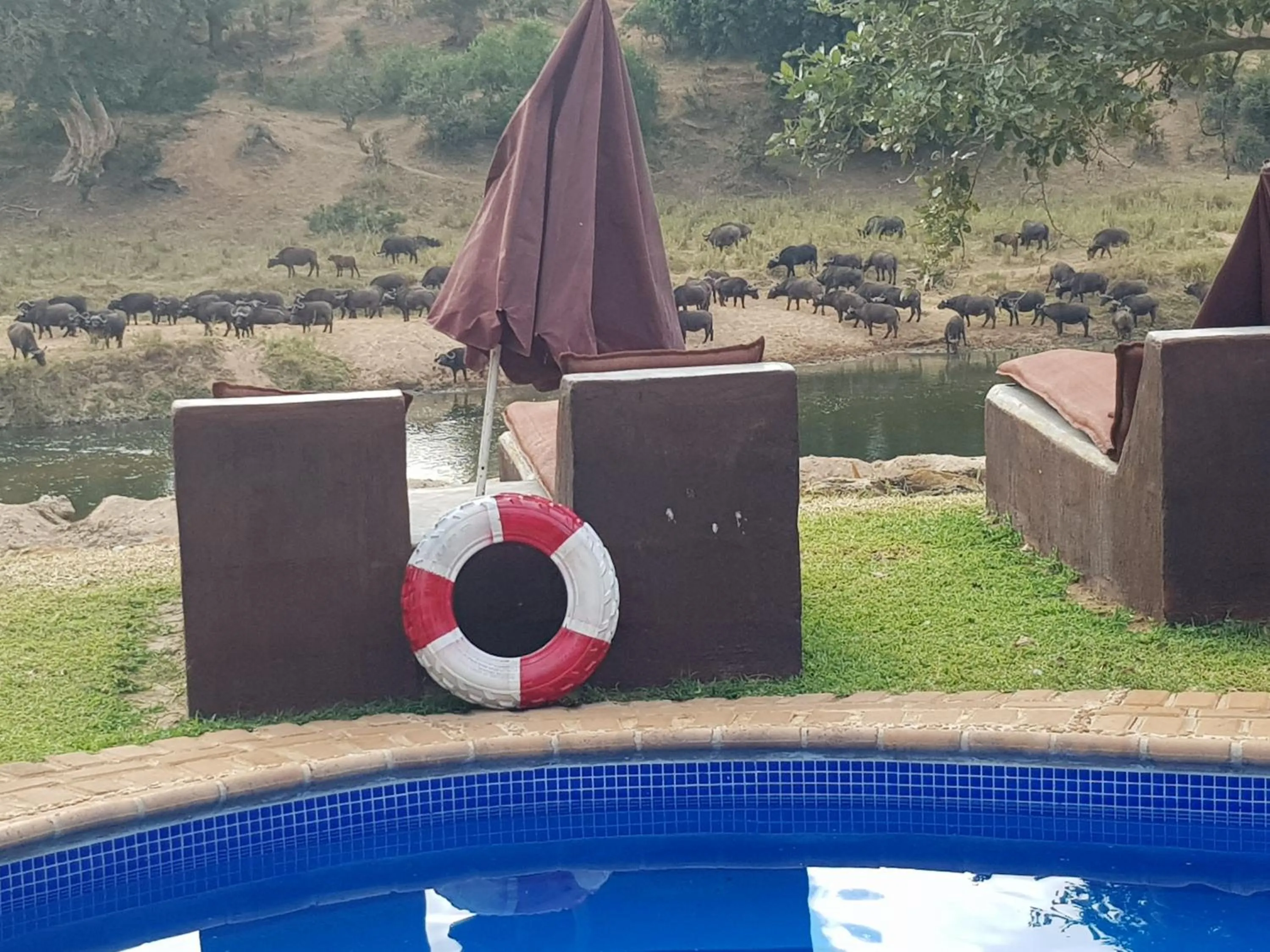 Garden in River House Lodge