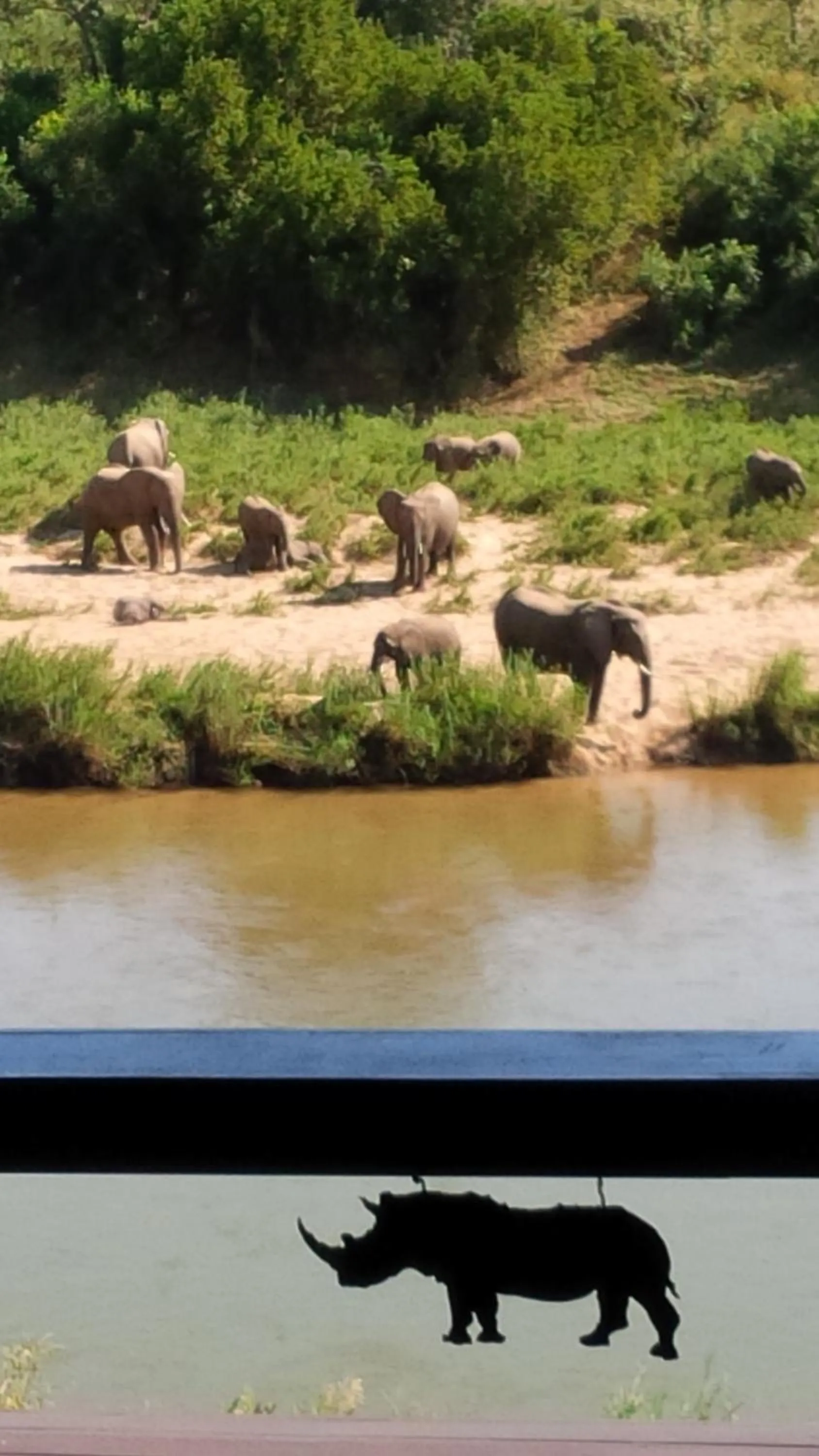 Property building in River House Lodge