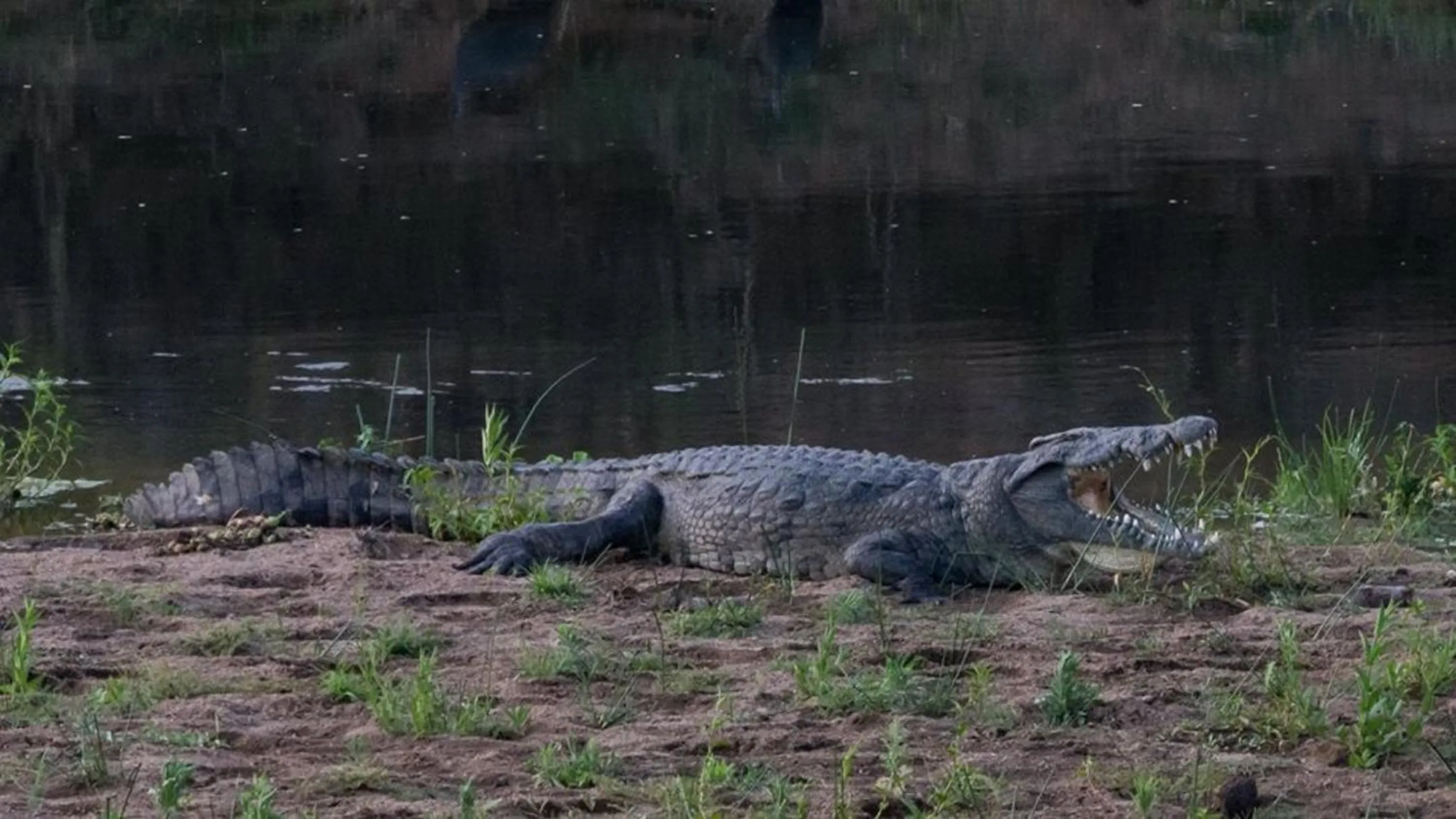 Garden in River House Lodge