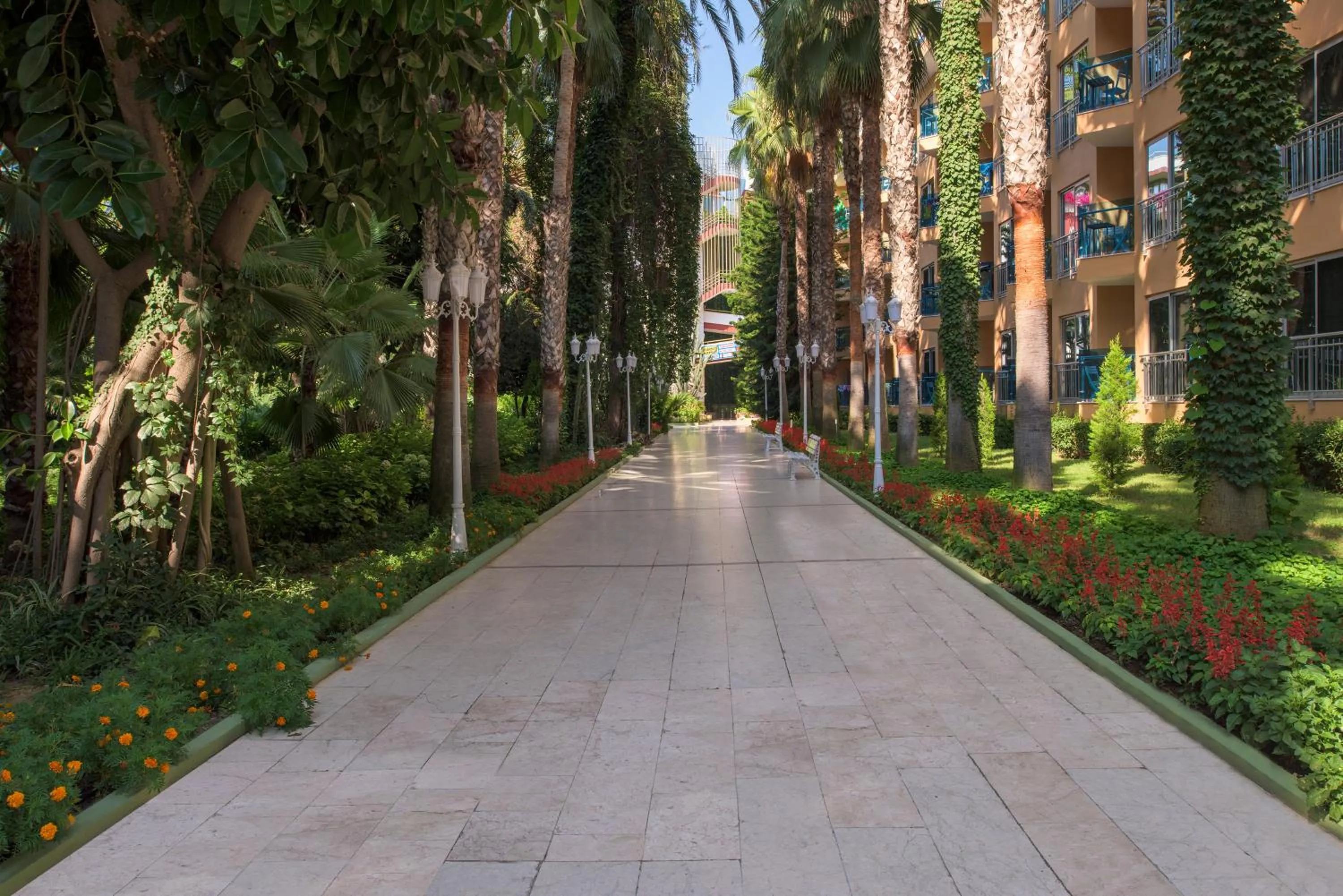 Garden in Botanik Hotel