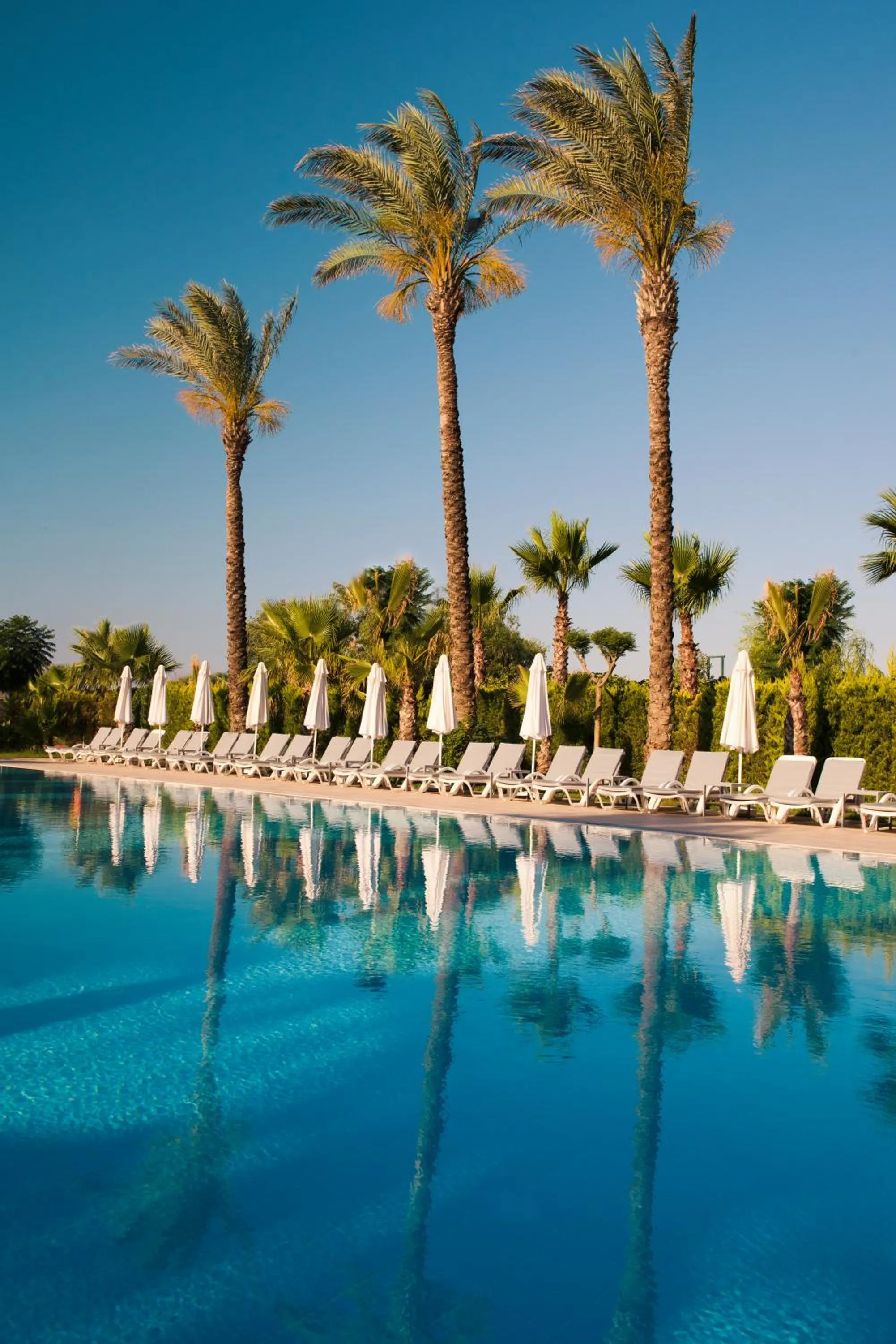 Swimming pool in Delphin Diva Premiere