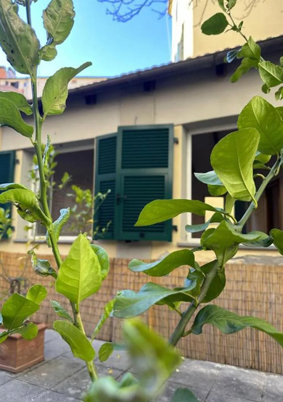 Property building in Boutique Hotel Novecento