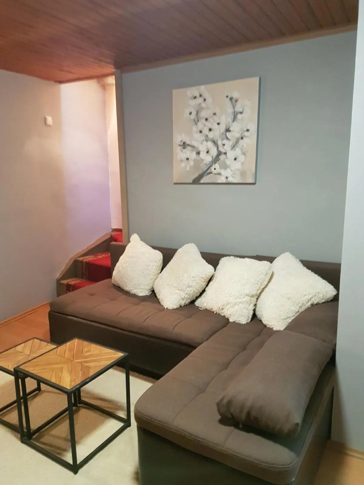 Apartment Nevenka