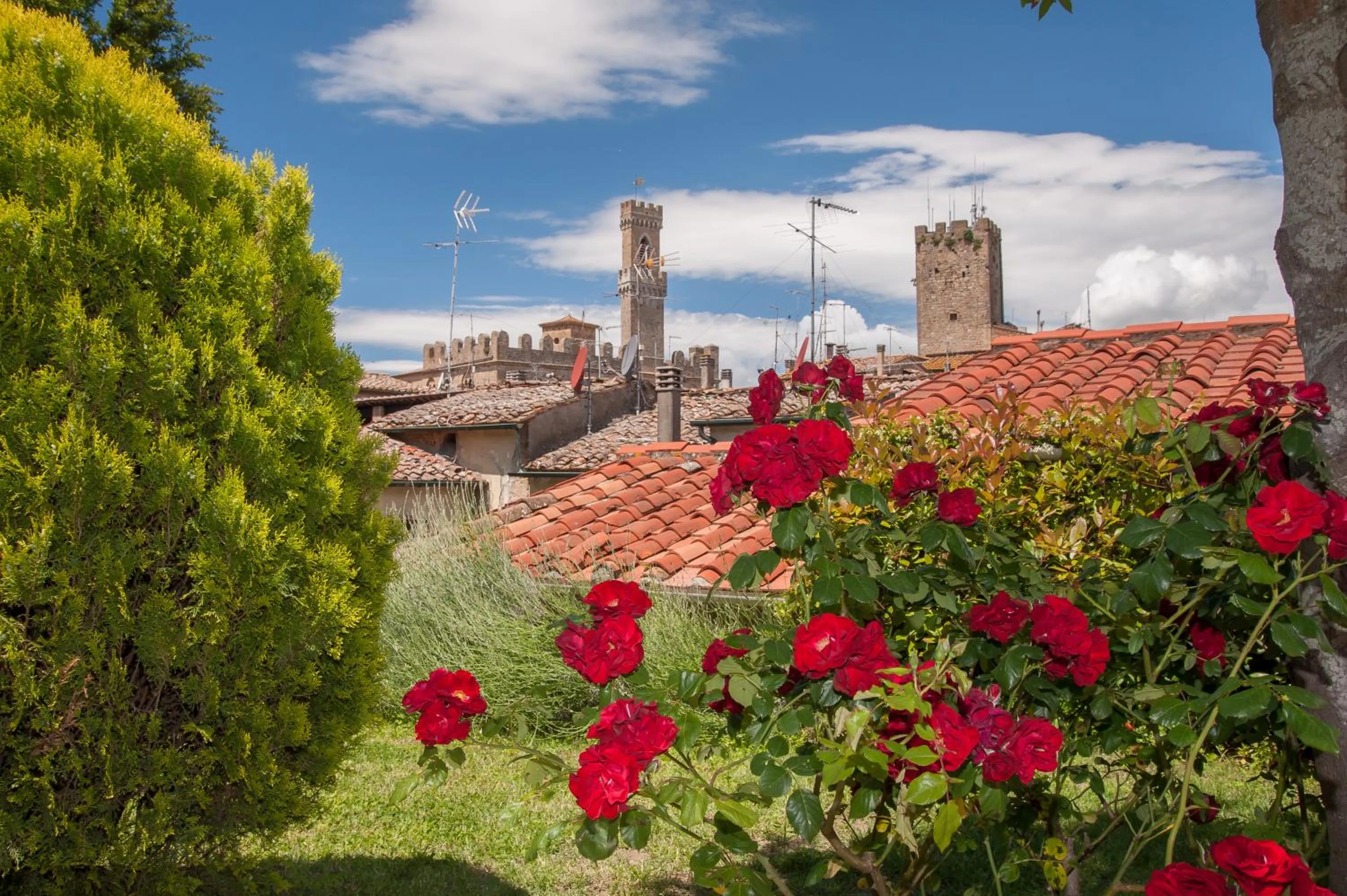 Summer in Albergo Etruria