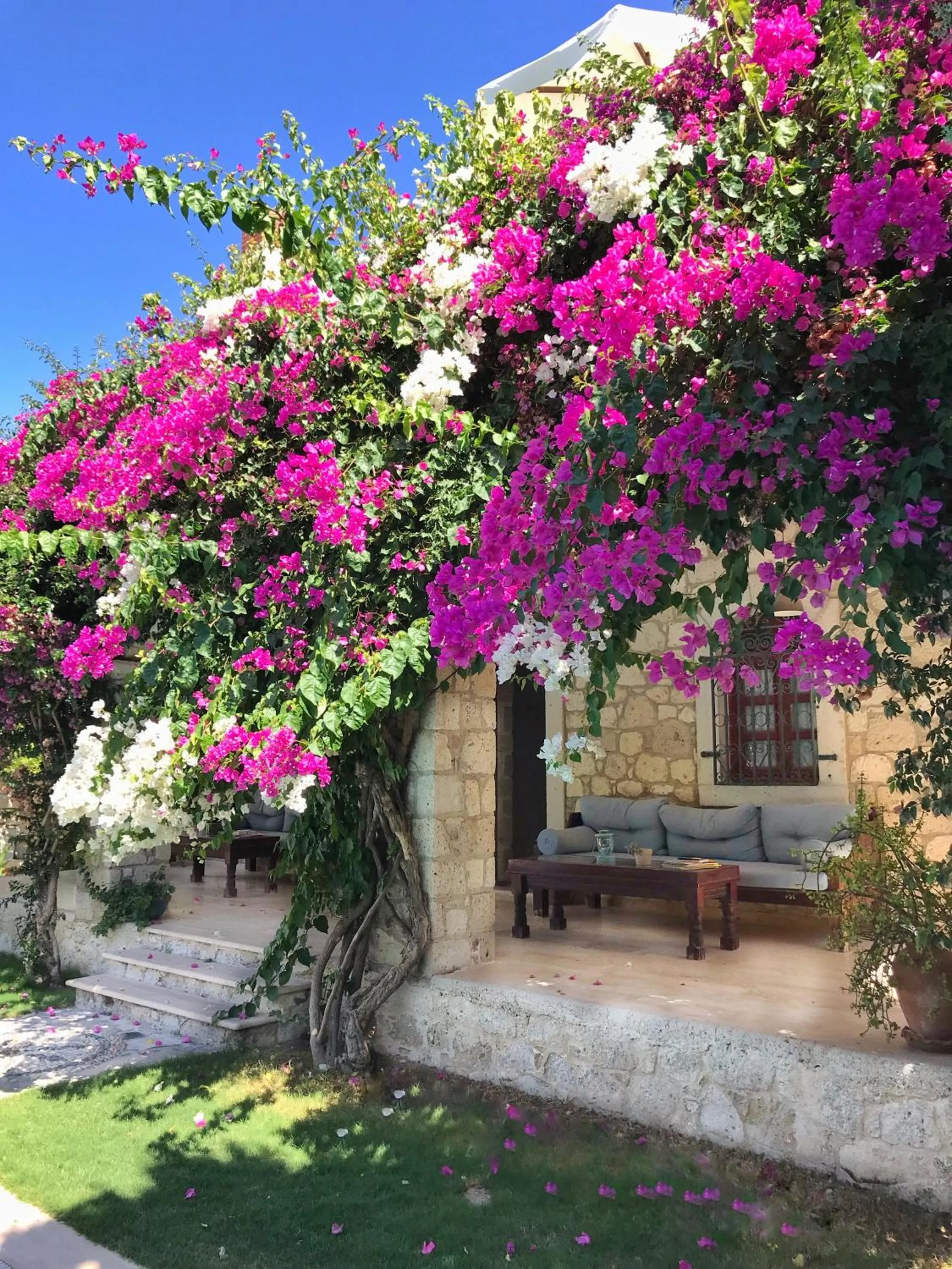 Balcony/Terrace in Alacati Zeytin Konak Hotel