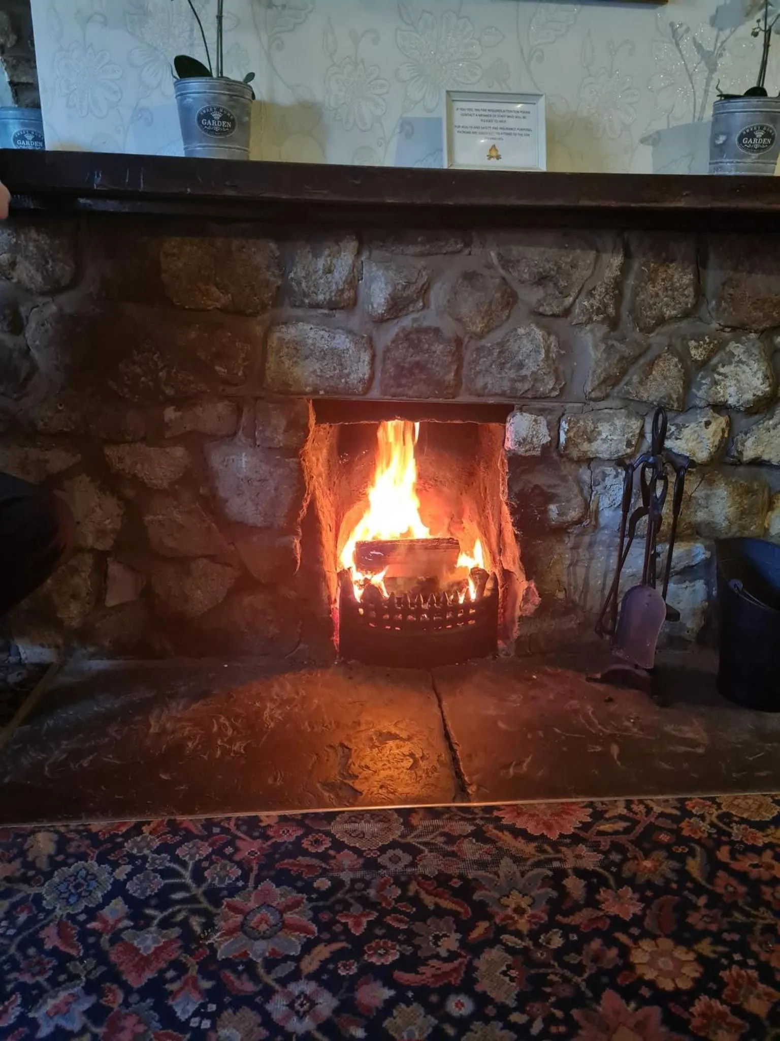 Other in The Blue Cow