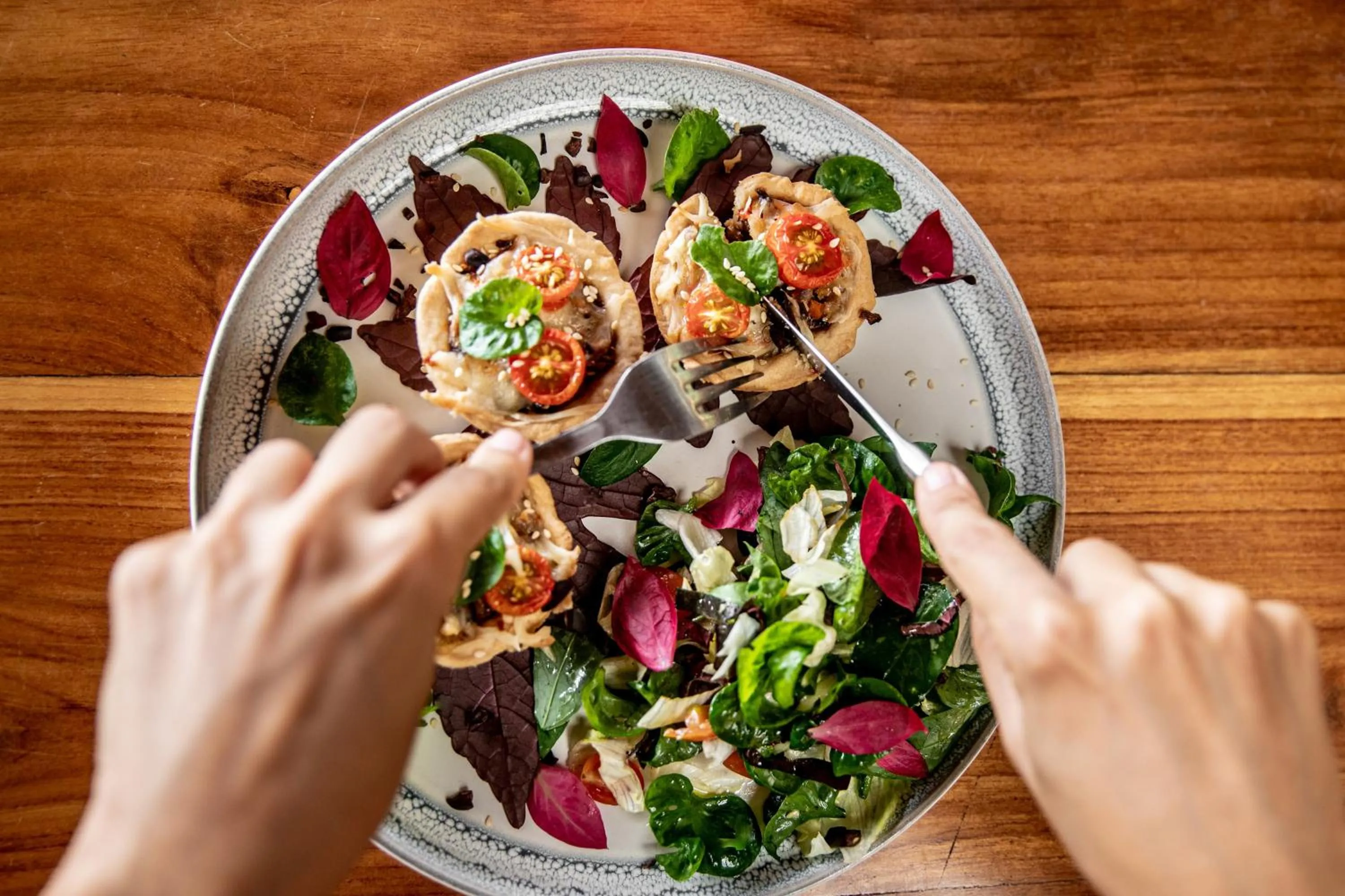 La Loma Jungle Lodge and Chocolate Farm