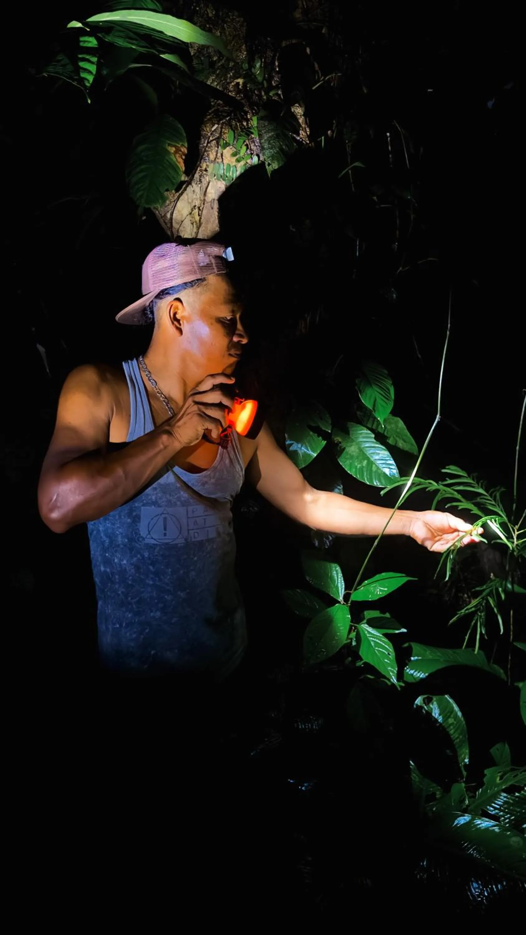 La Loma Jungle Lodge and Chocolate Farm