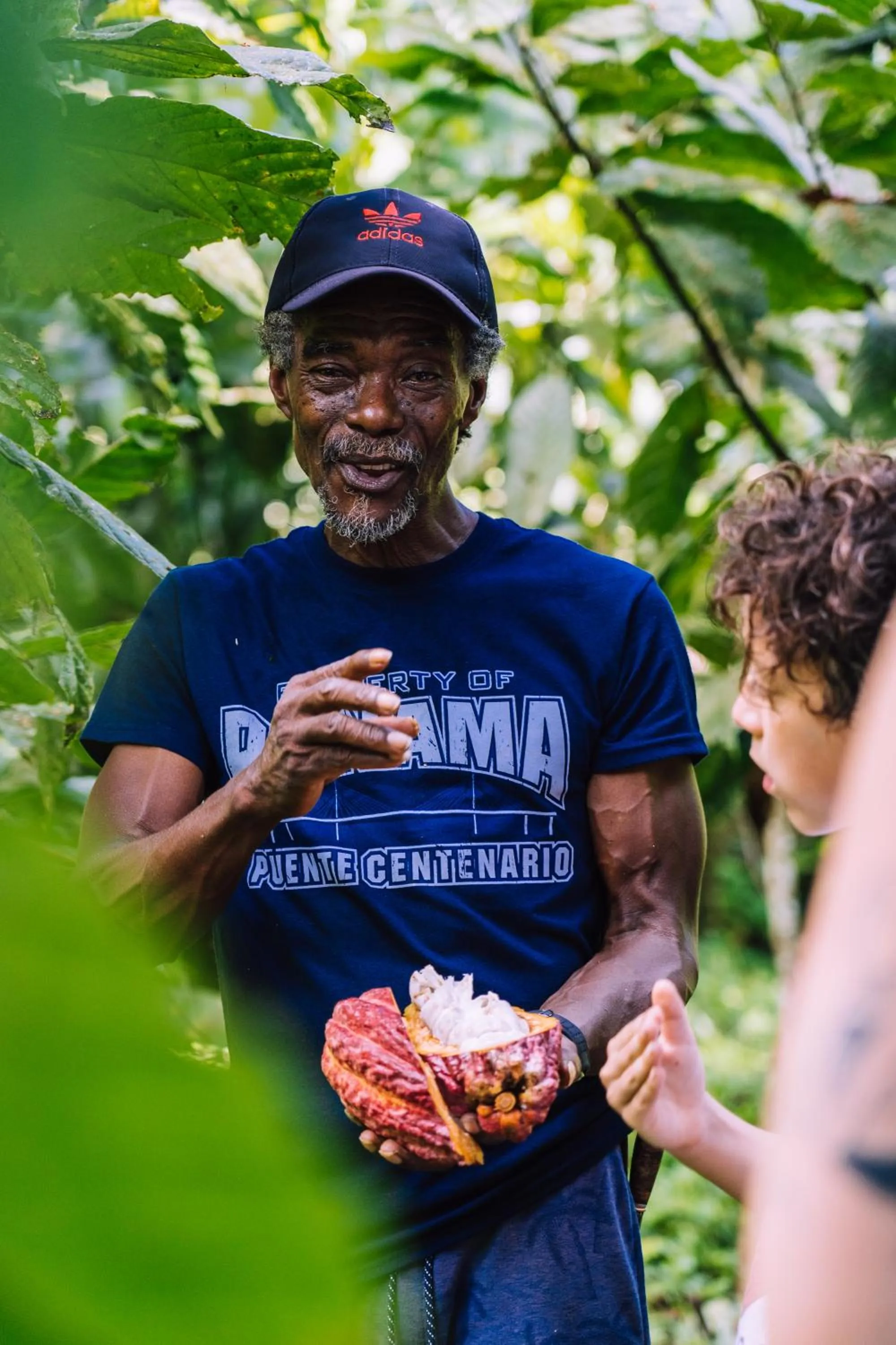 La Loma Jungle Lodge and Chocolate Farm