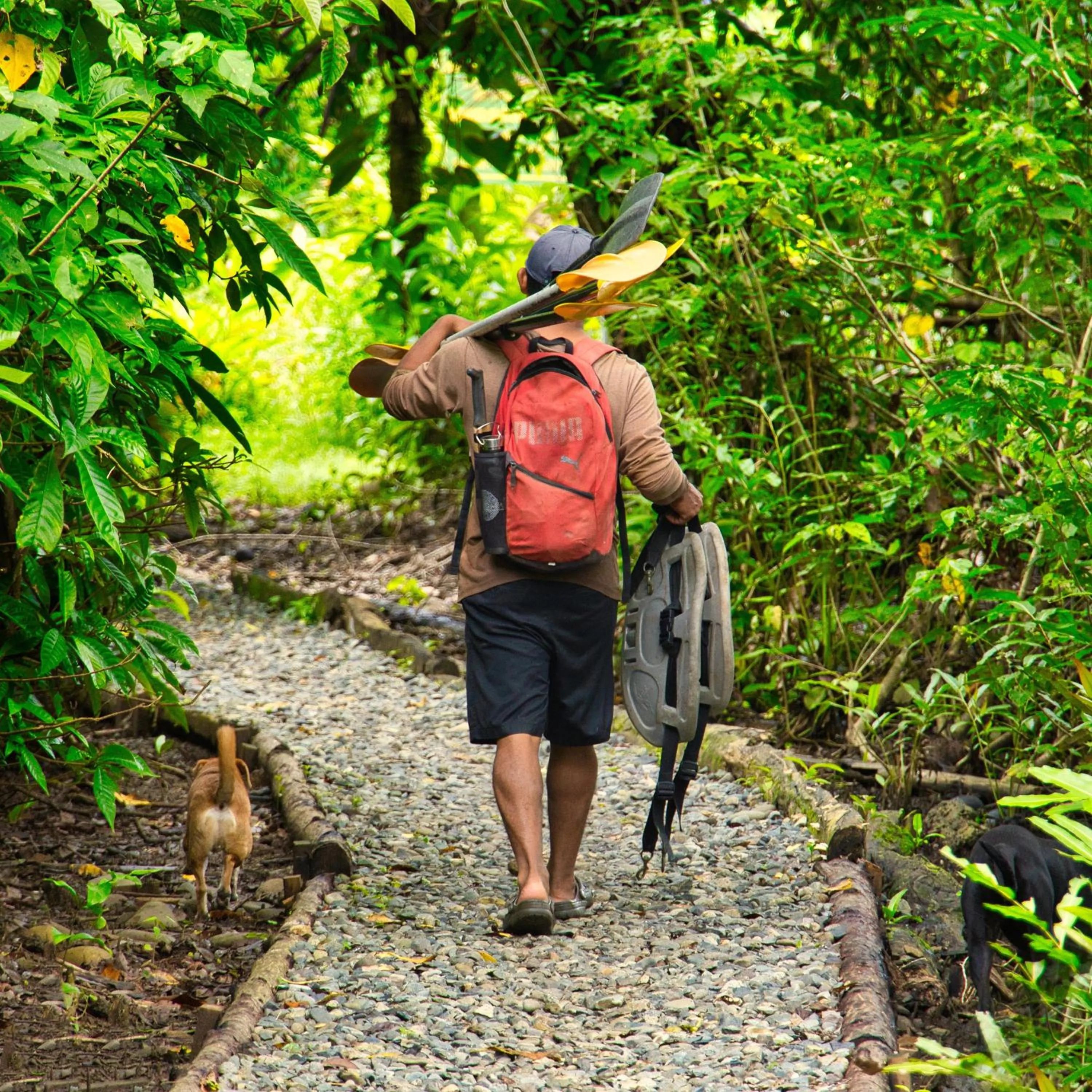 La Loma Jungle Lodge and Chocolate Farm