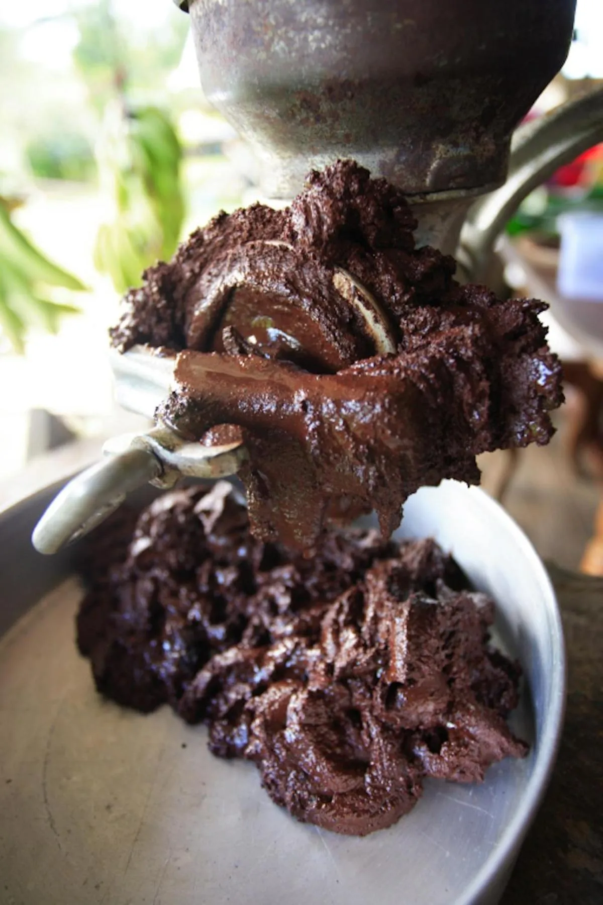 La Loma Jungle Lodge and Chocolate Farm