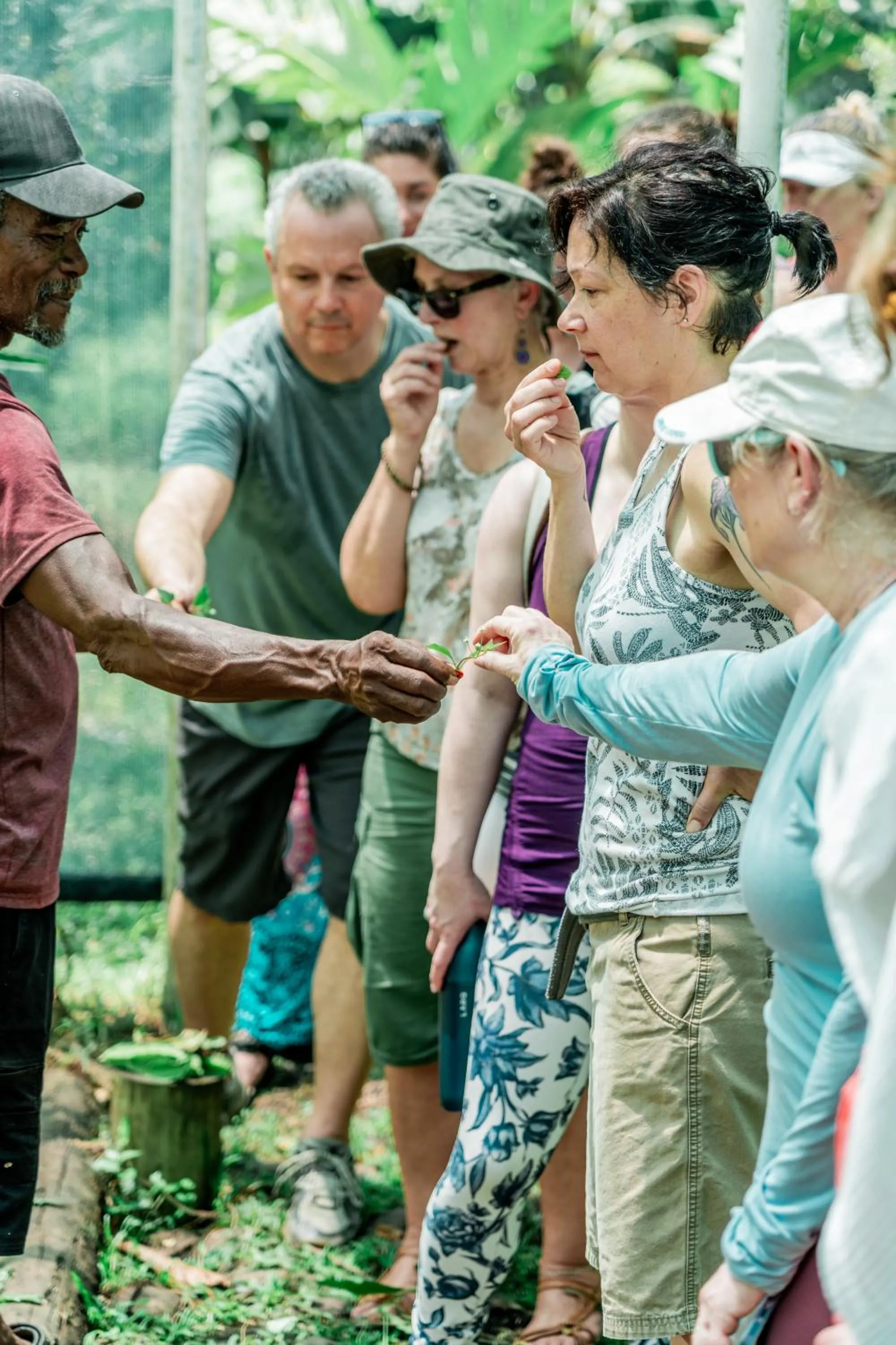 La Loma Jungle Lodge and Chocolate Farm