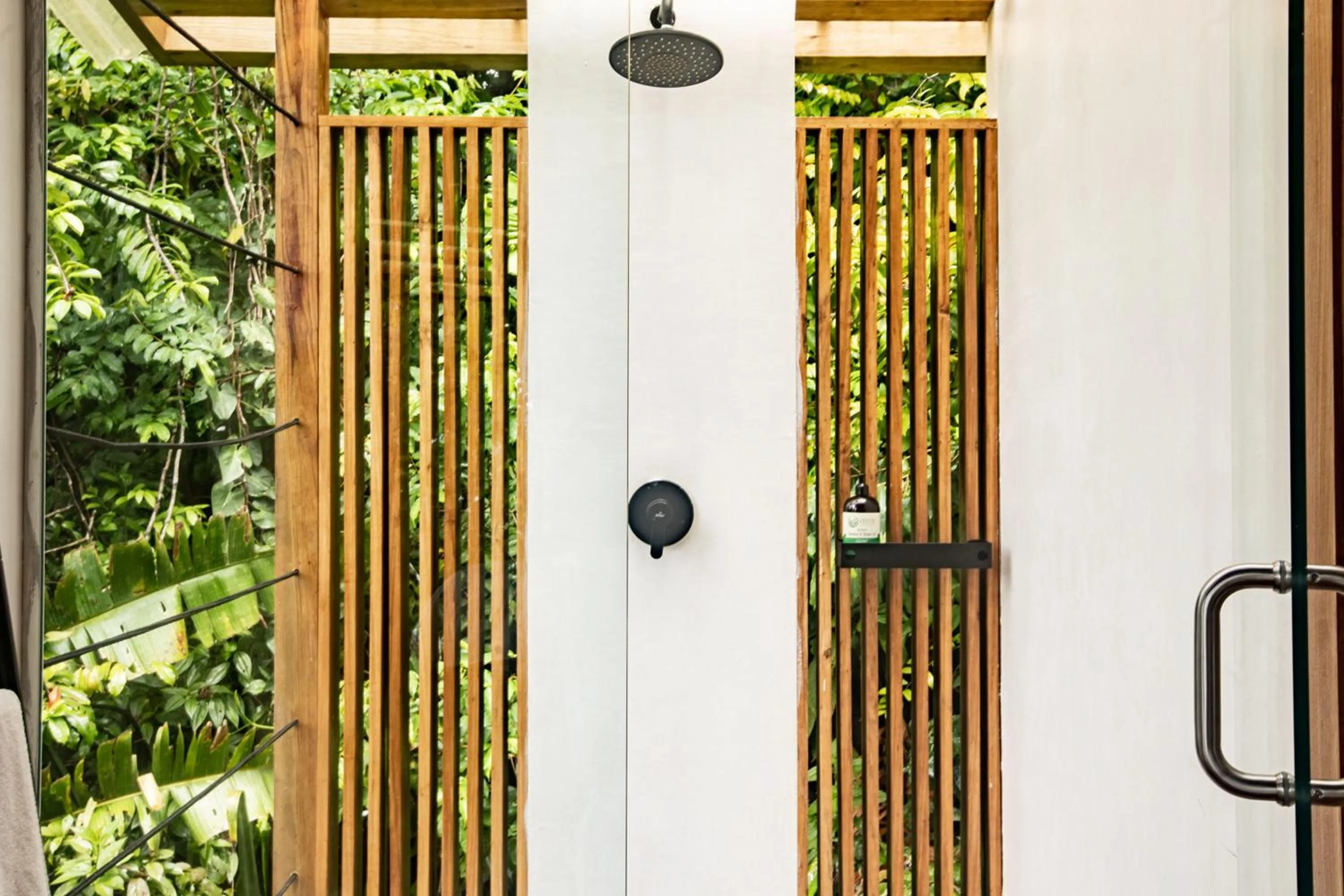 La Loma Jungle Lodge and Chocolate Farm