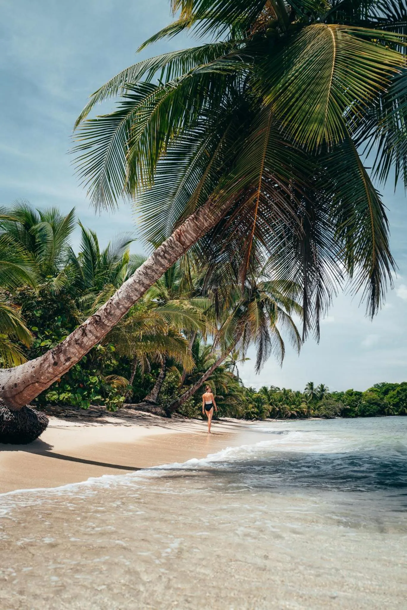 La Loma Jungle Lodge and Chocolate Farm