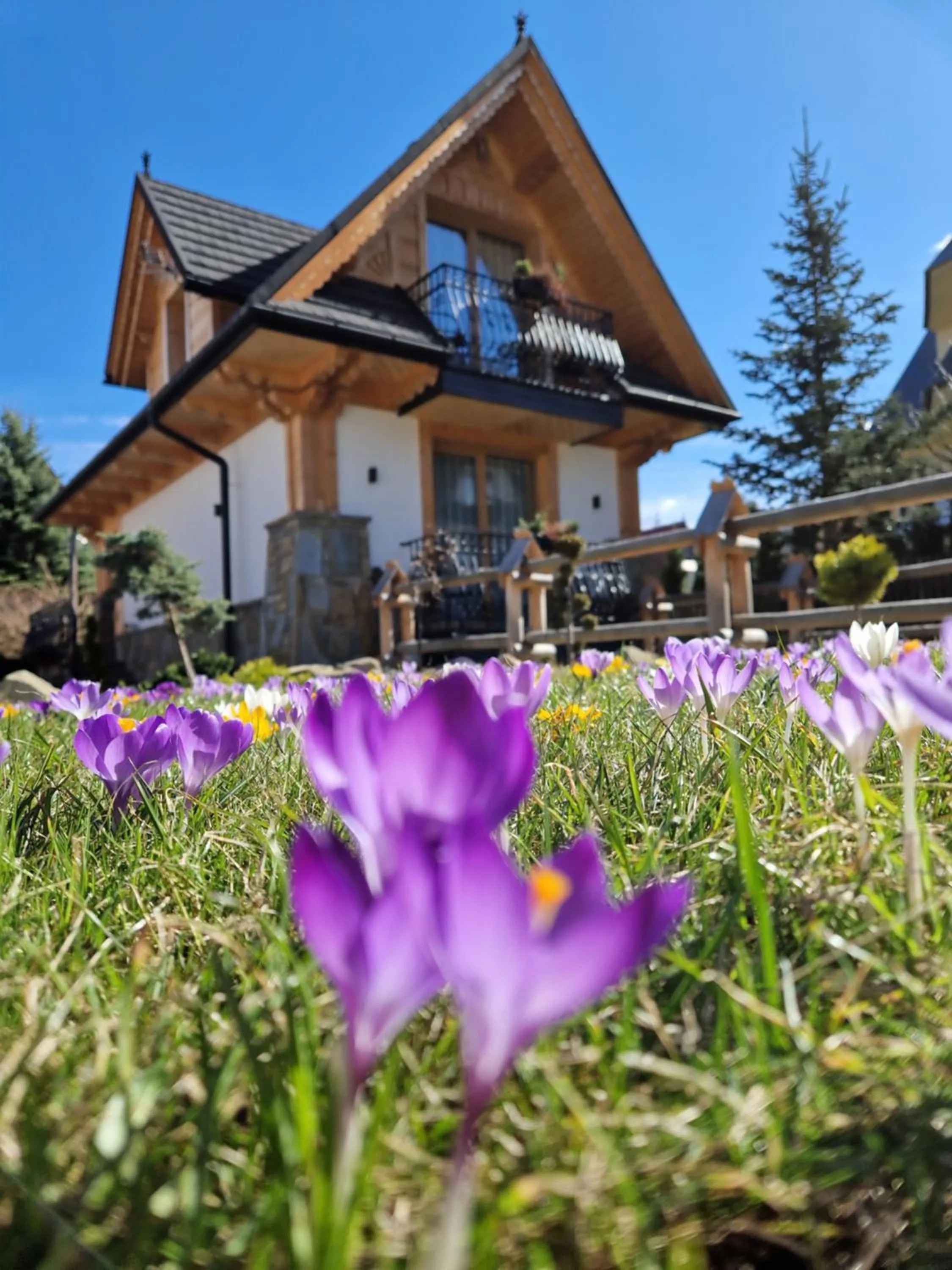 Apartamenty BENITA