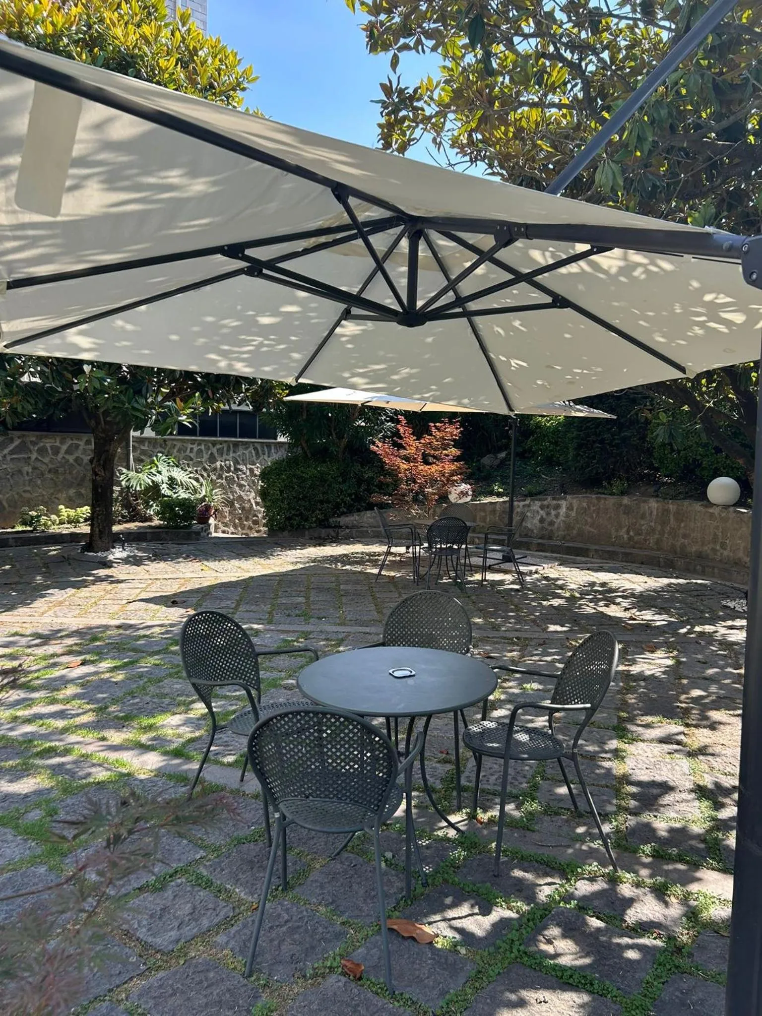 Garden in Hotel Giovanna