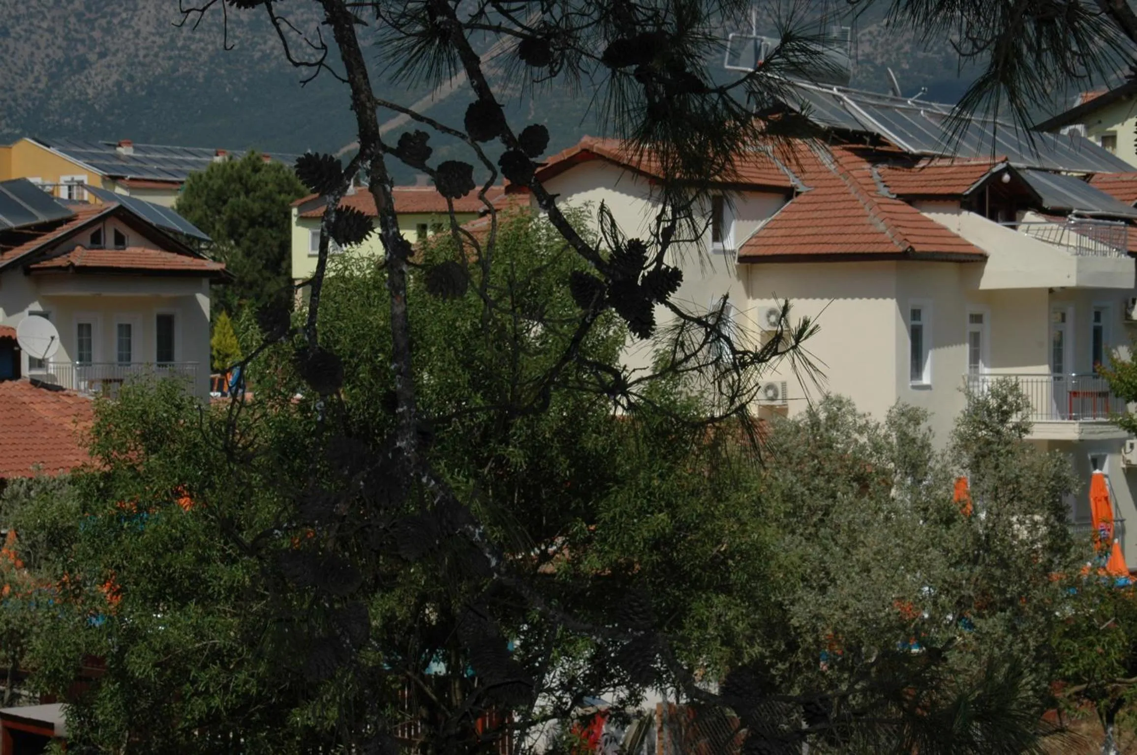 Area and facilities in Tolay Hotel