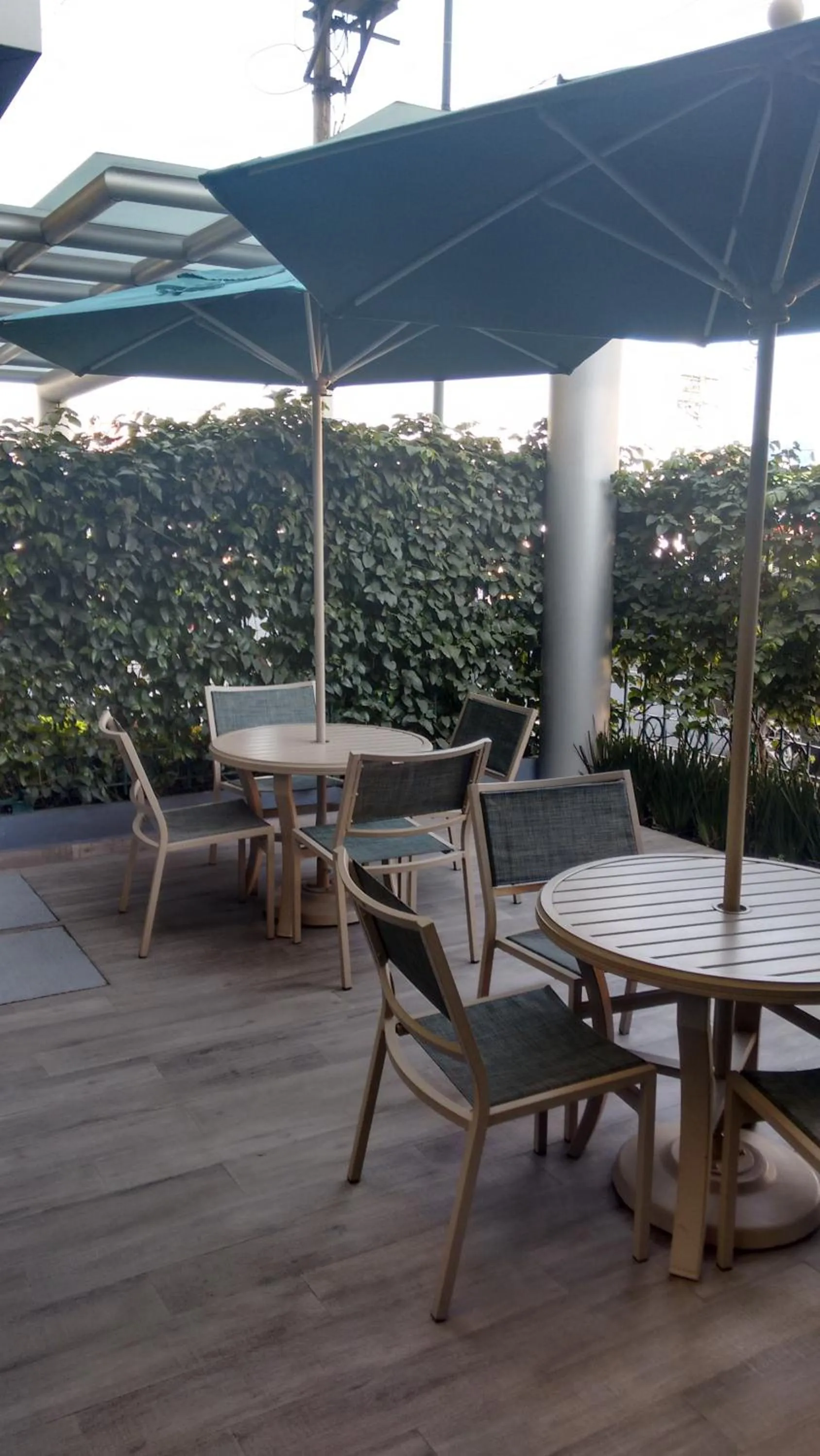 Restaurant/places to eat in Hotel Atenas Plaza