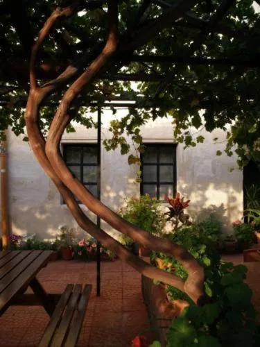 Day in Ürgüp Inn Cave Hotel