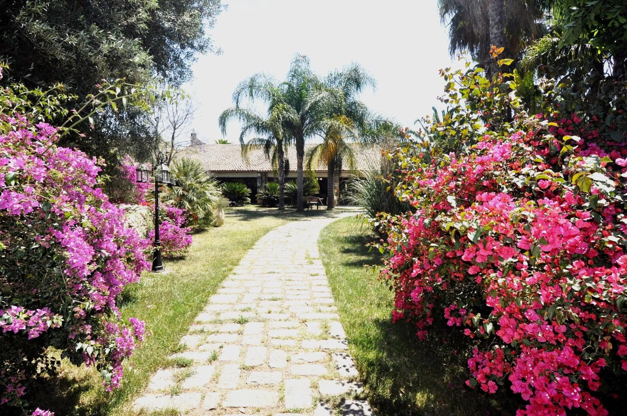 Spring in Villa Dei Papiri Fonte Ciane