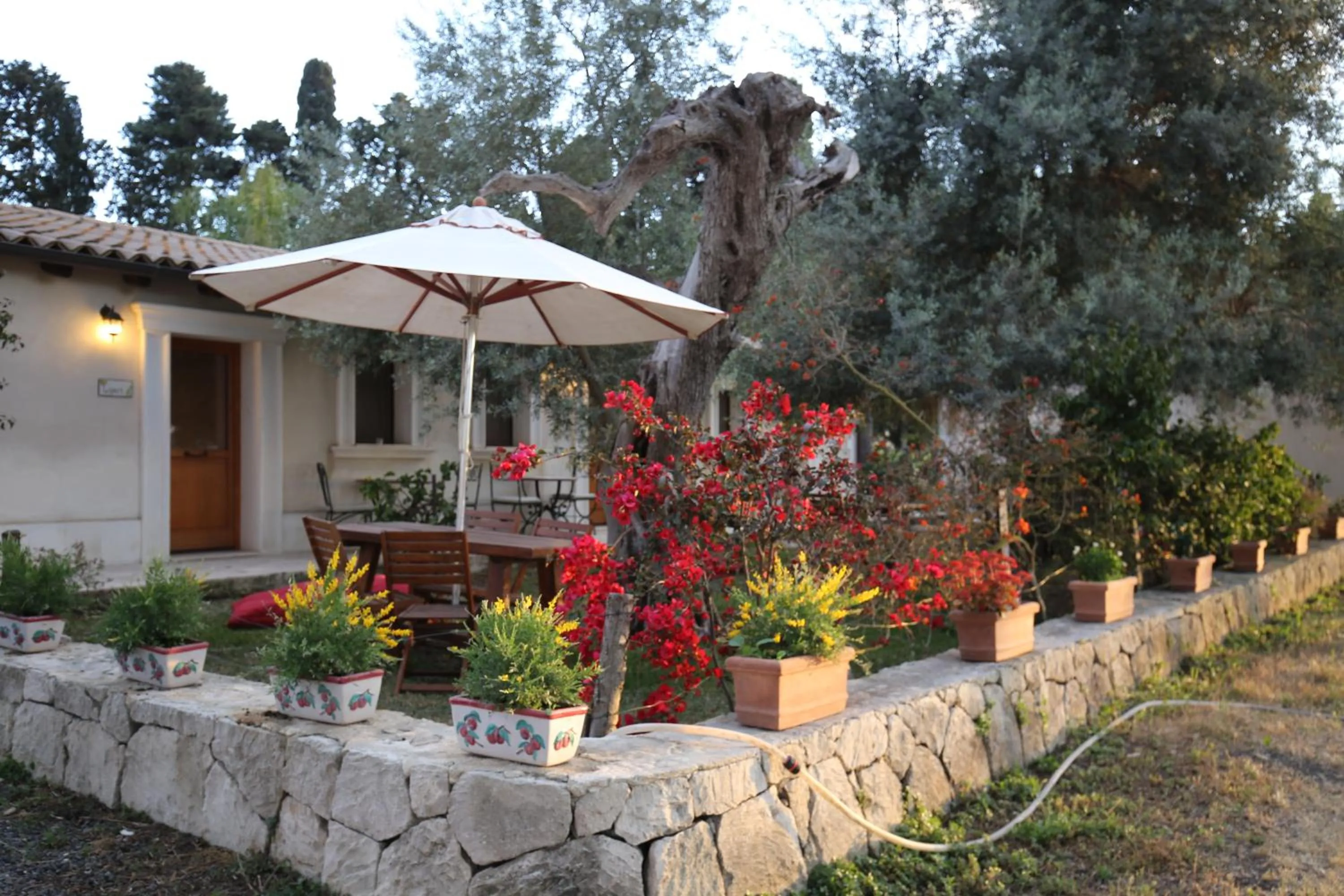 Garden view in Villa Dei Papiri Fonte Ciane