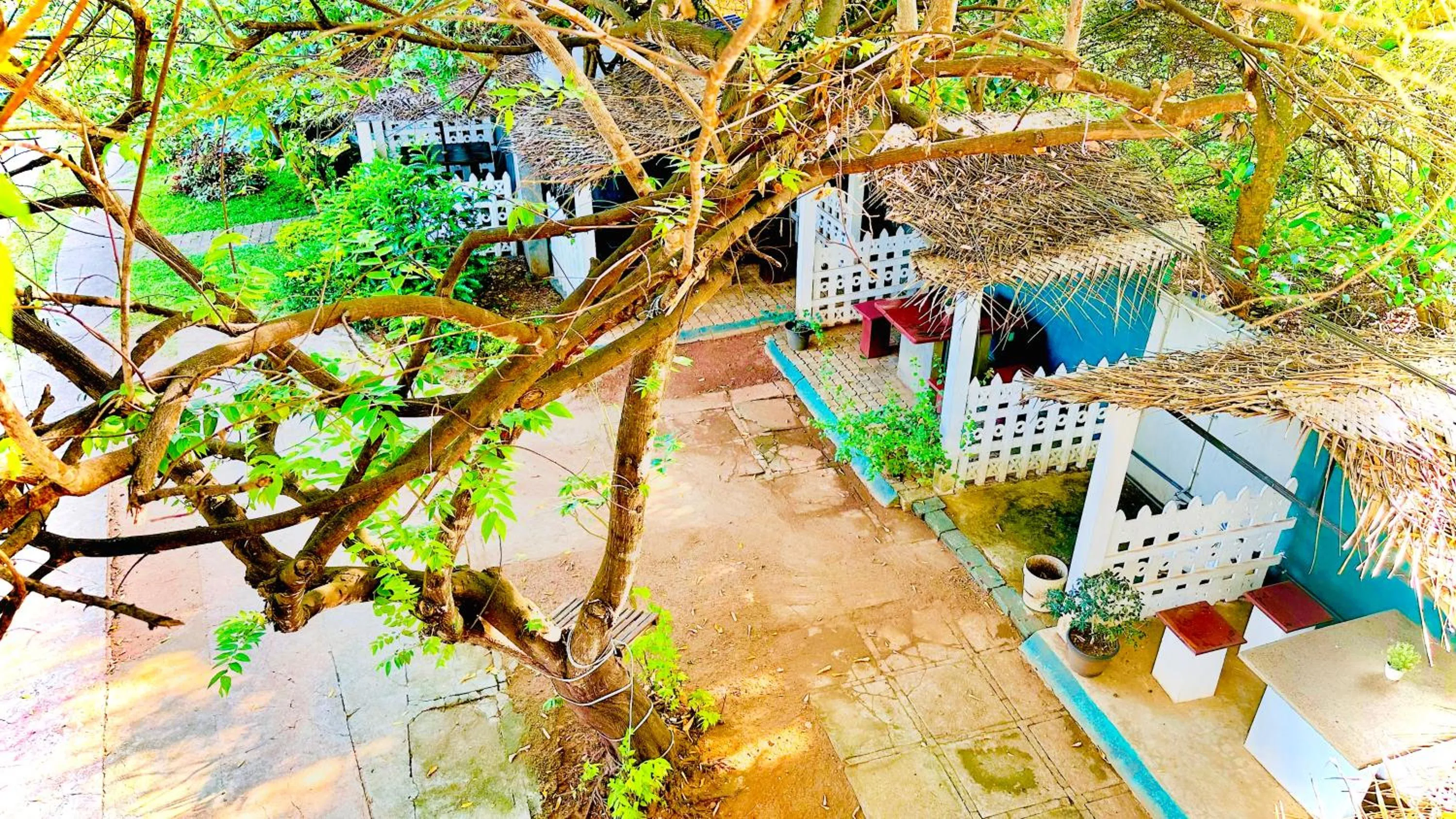 Garden view in New Peacock Resort