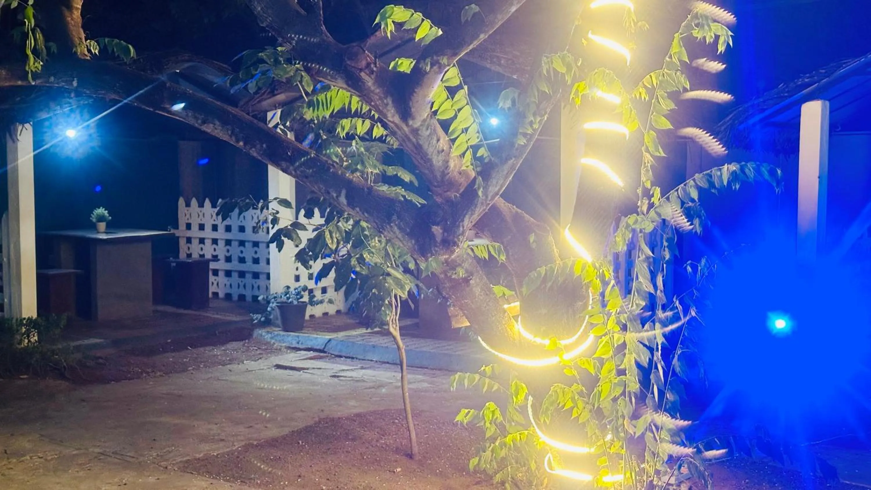 Night in New Peacock Resort