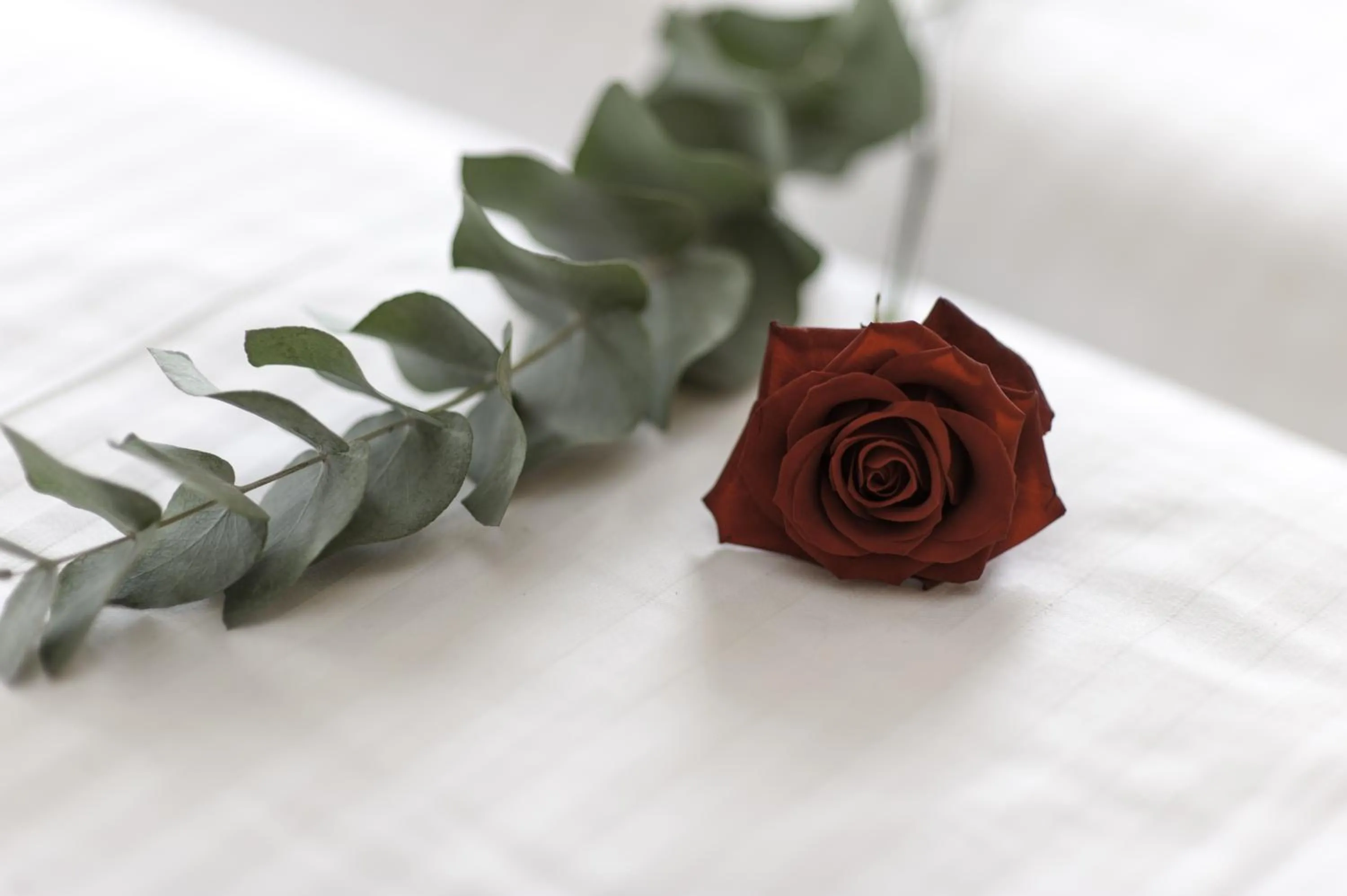 Other in Hotel Gampen