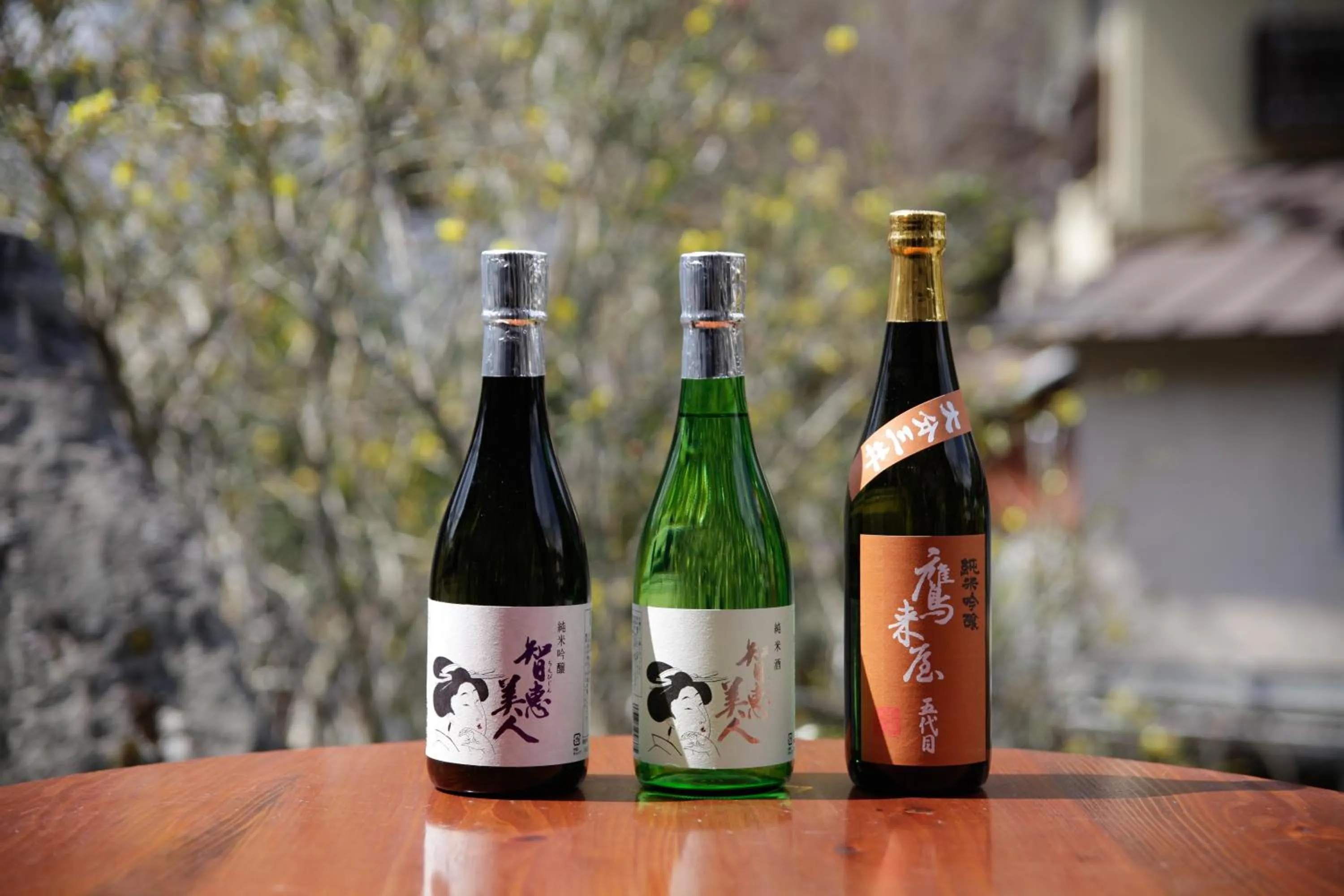 Alcoholic drinks in Shimizu Ryokan