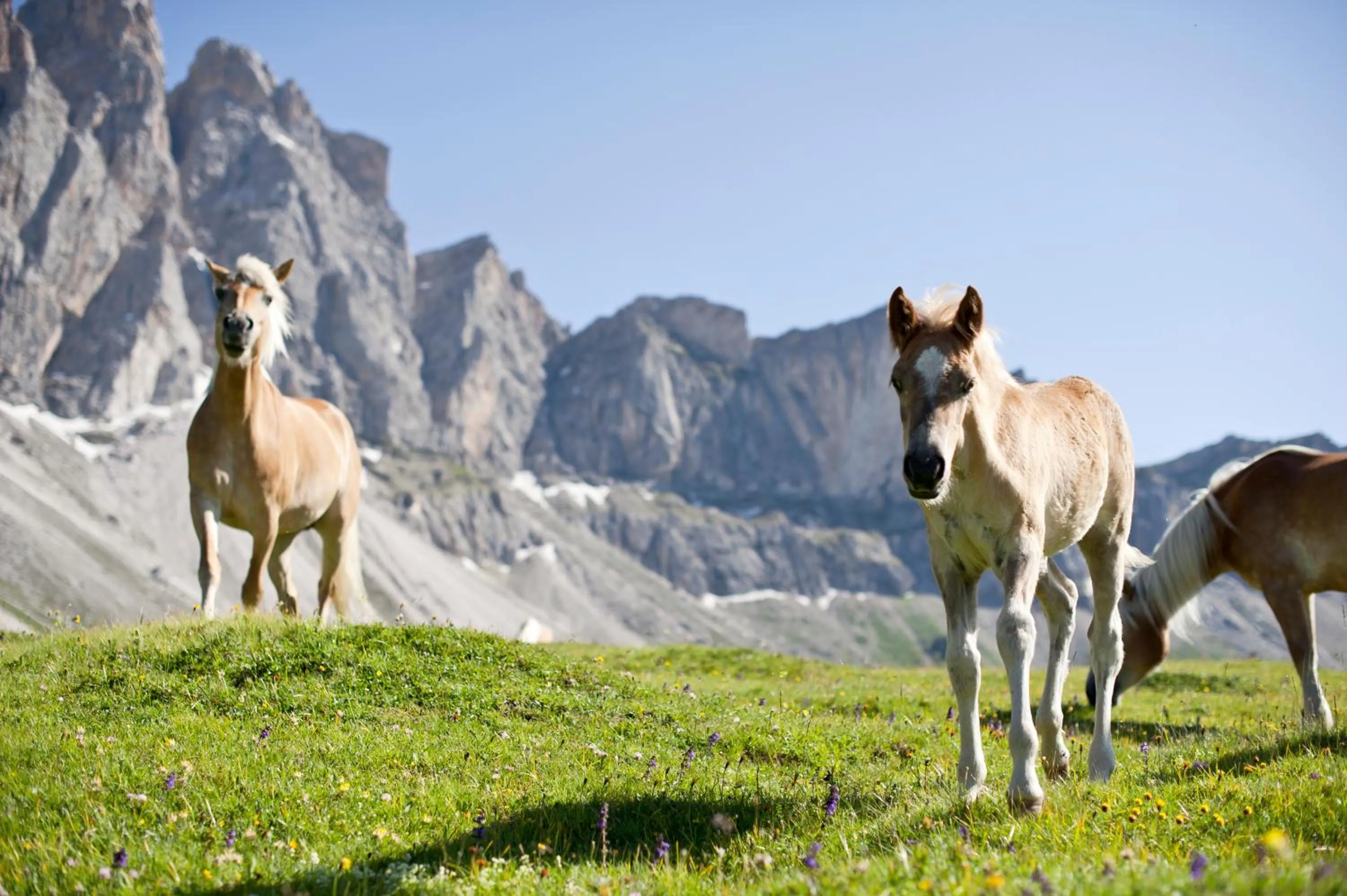 Natural landscape in Hotel Kreuzberg Monte Croce