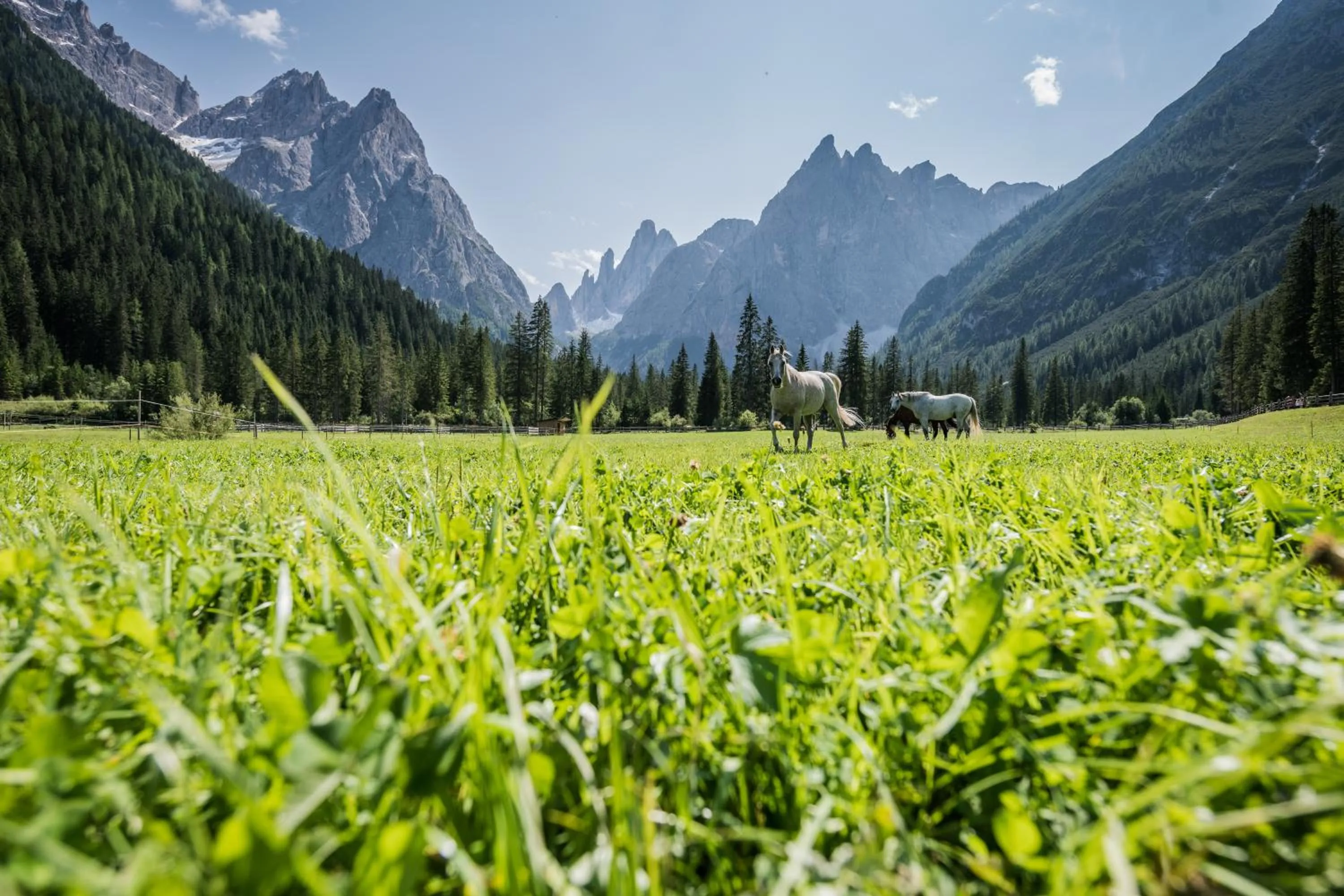 Horse-riding in Hotel Kreuzberg Monte Croce