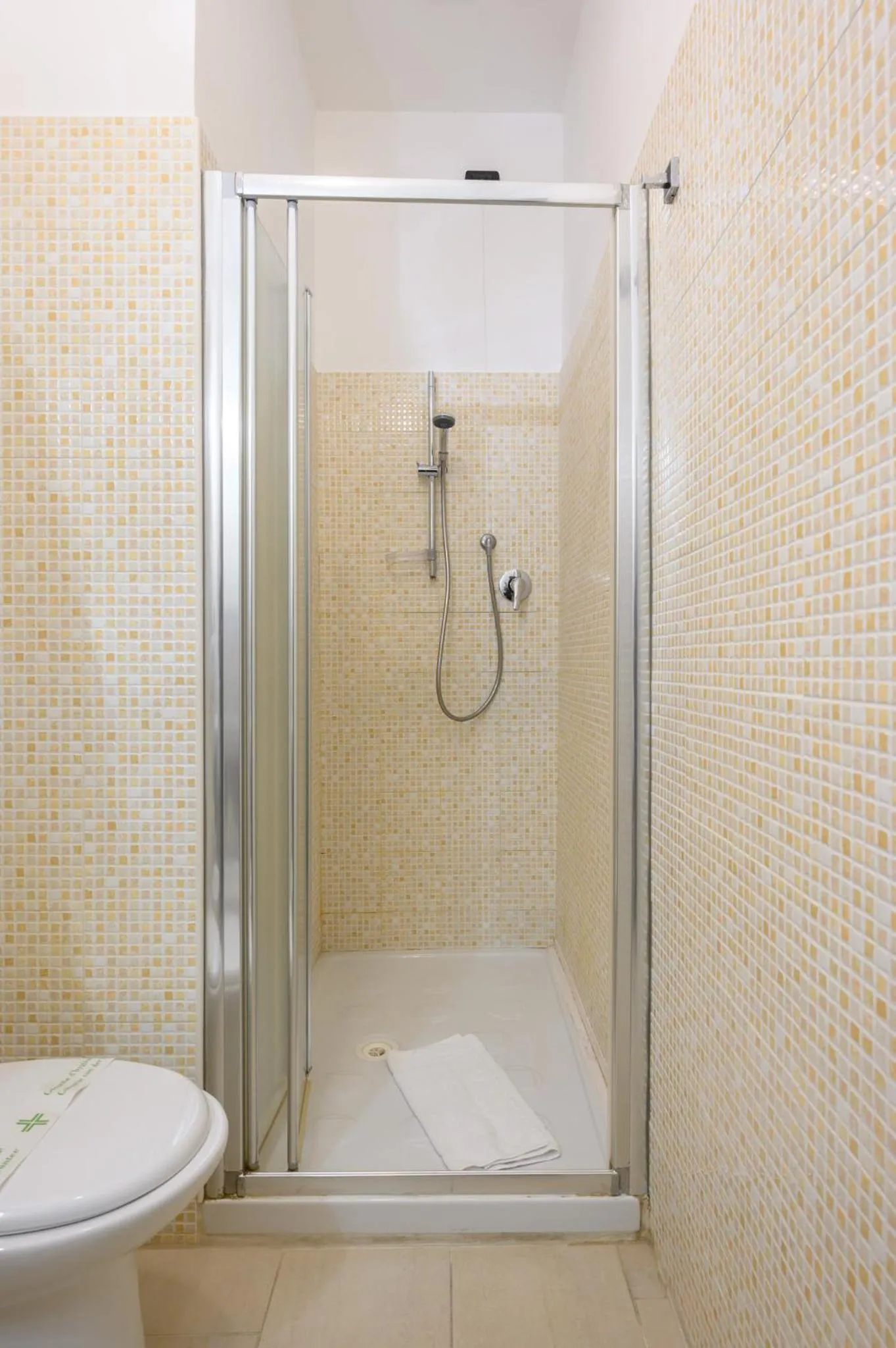 Shower in Cola Di Rienzo Suite Guest House