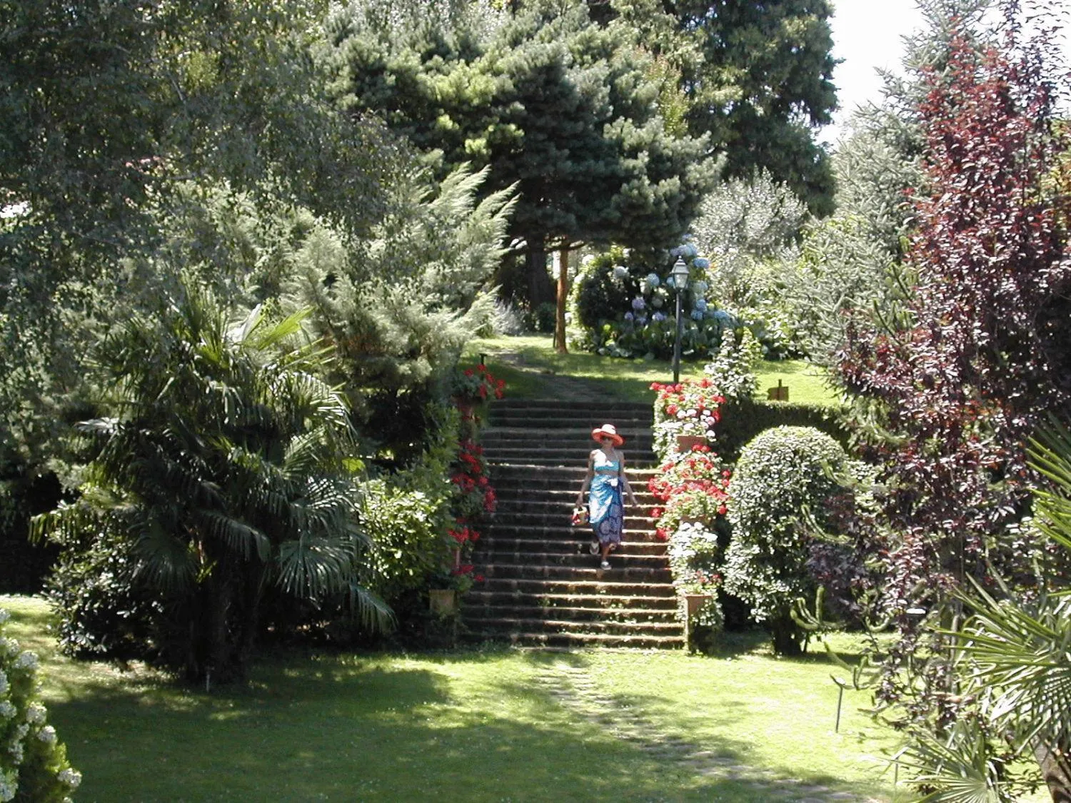 Garden in Hotel Villa Clementina