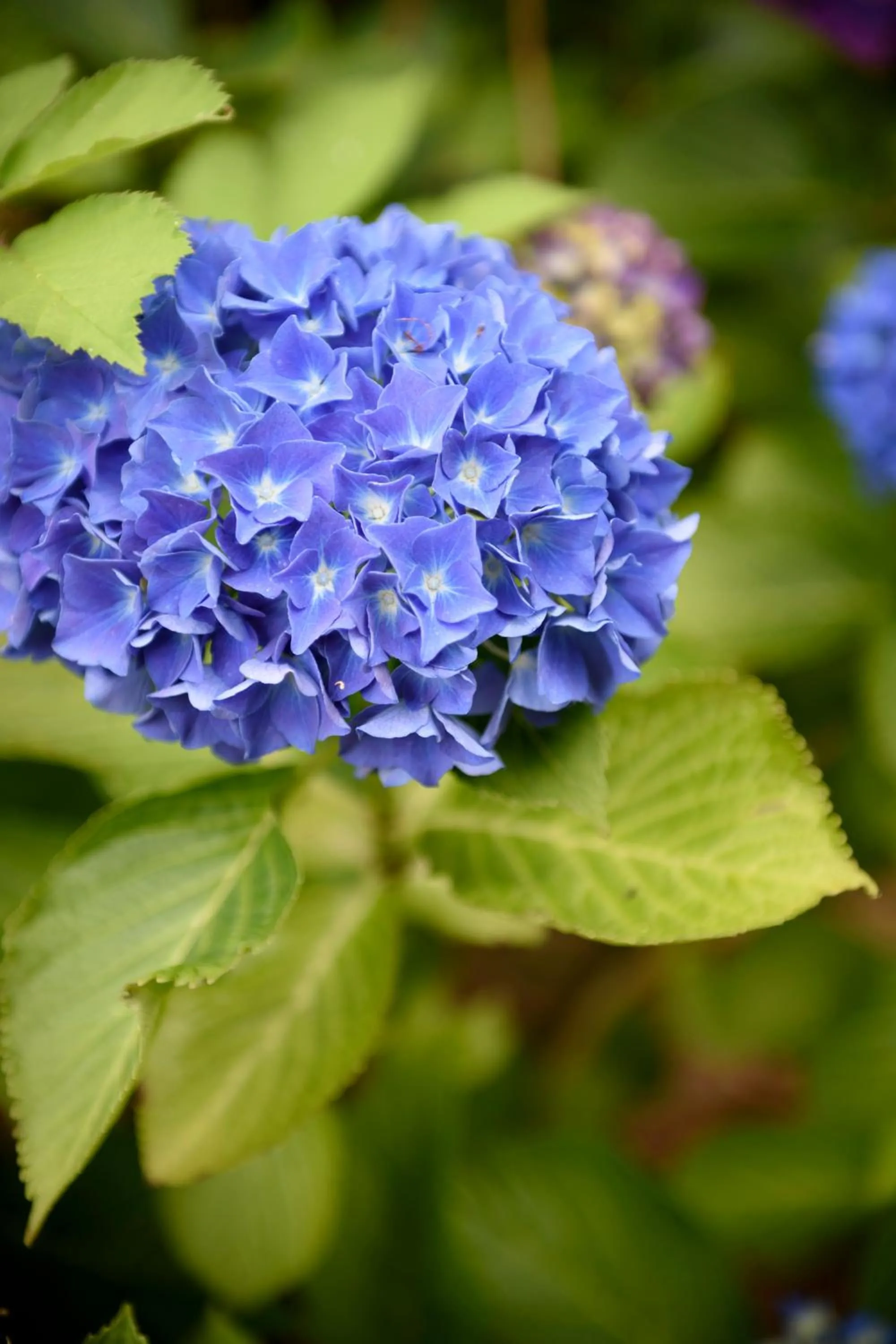 View (from property/room) in Hof Ter Beuke