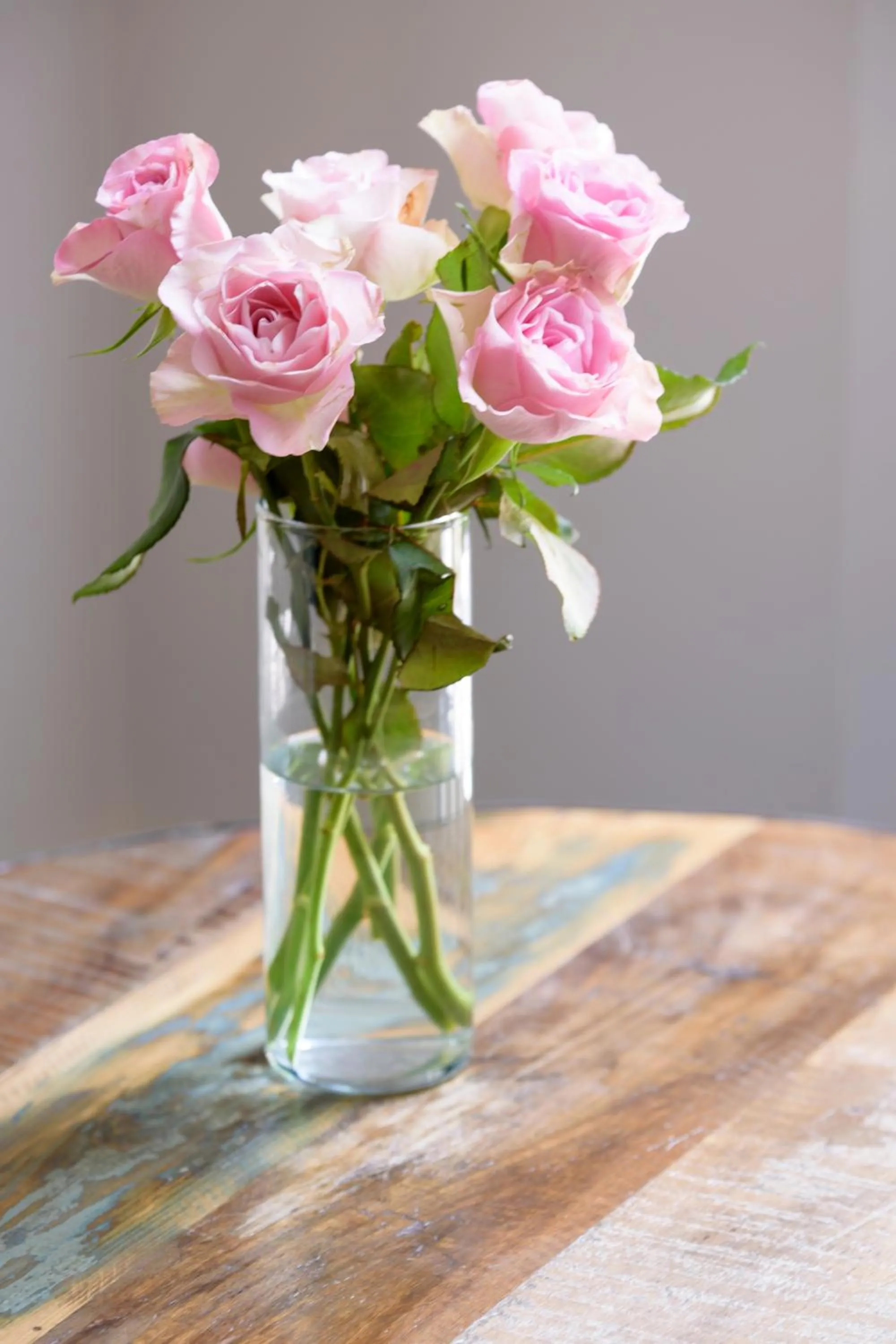 Decorative detail in Hof Ter Beuke