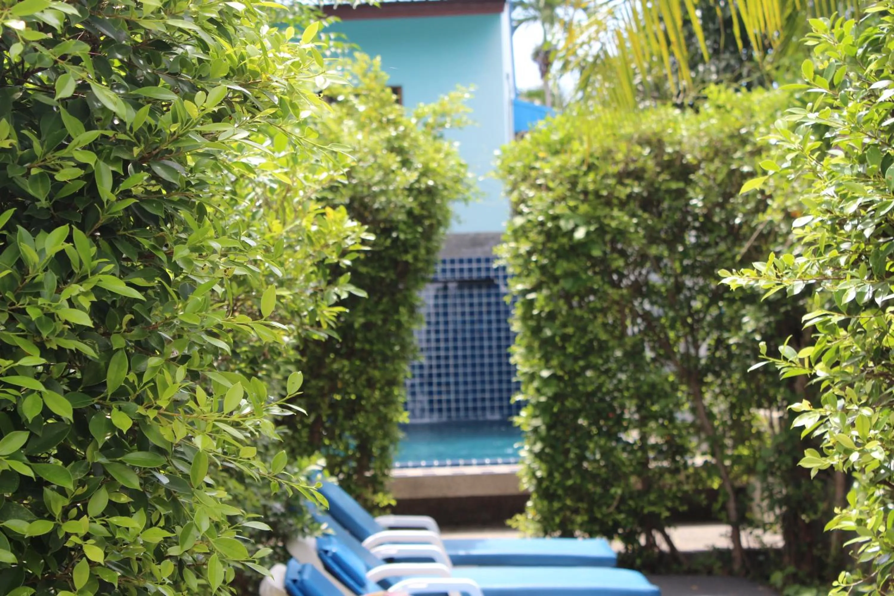 Swimming pool in B Happy Resort - SHA ExtraPlus