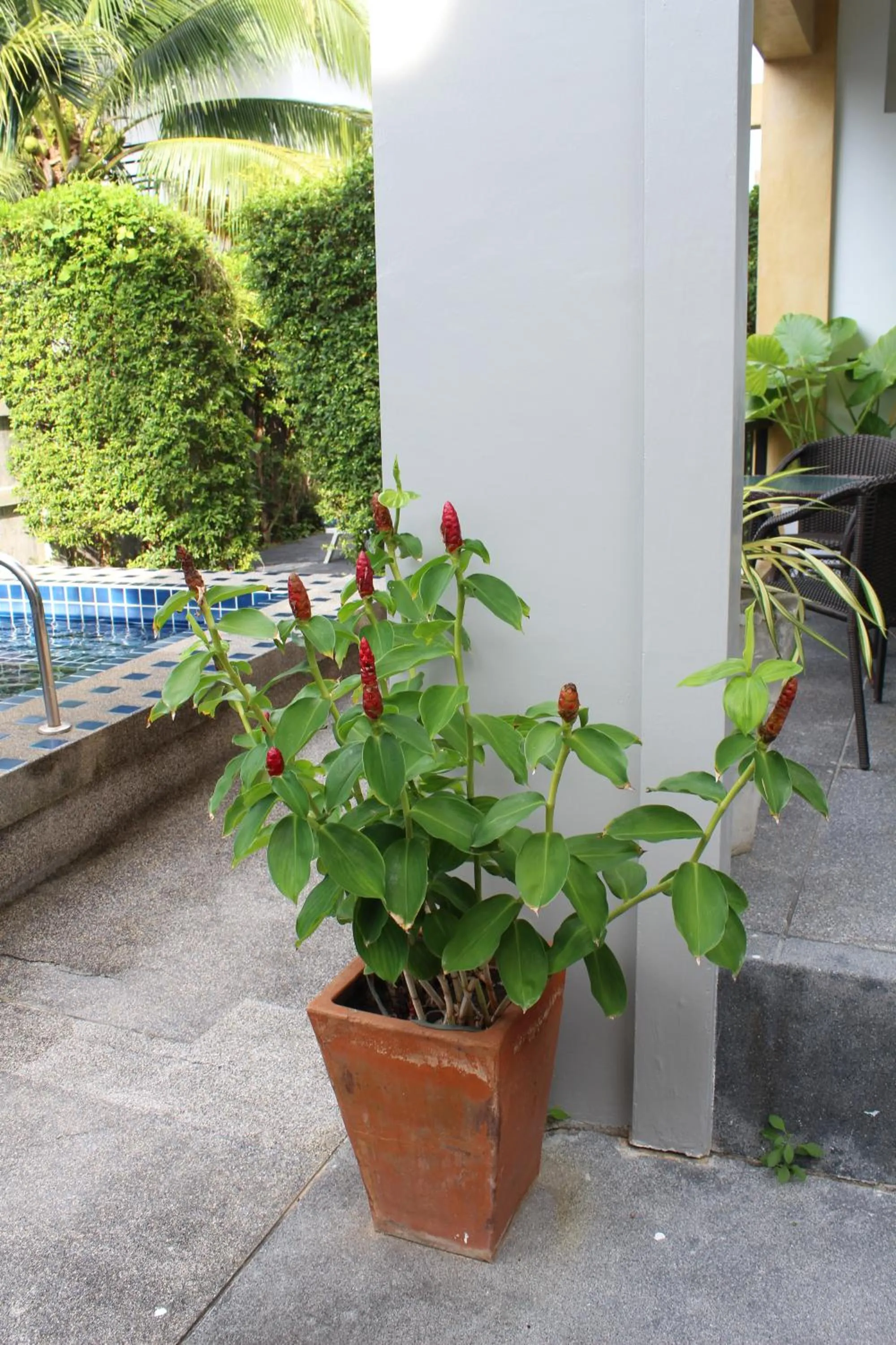 Other in B Happy Resort - SHA ExtraPlus