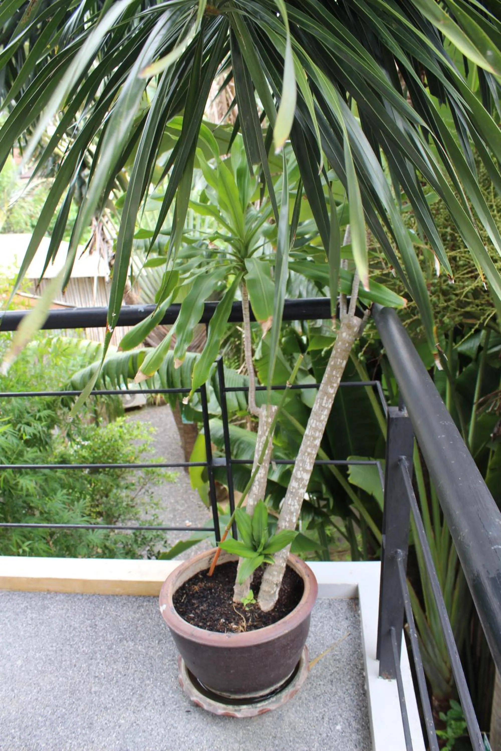 Other in B Happy Resort - SHA ExtraPlus