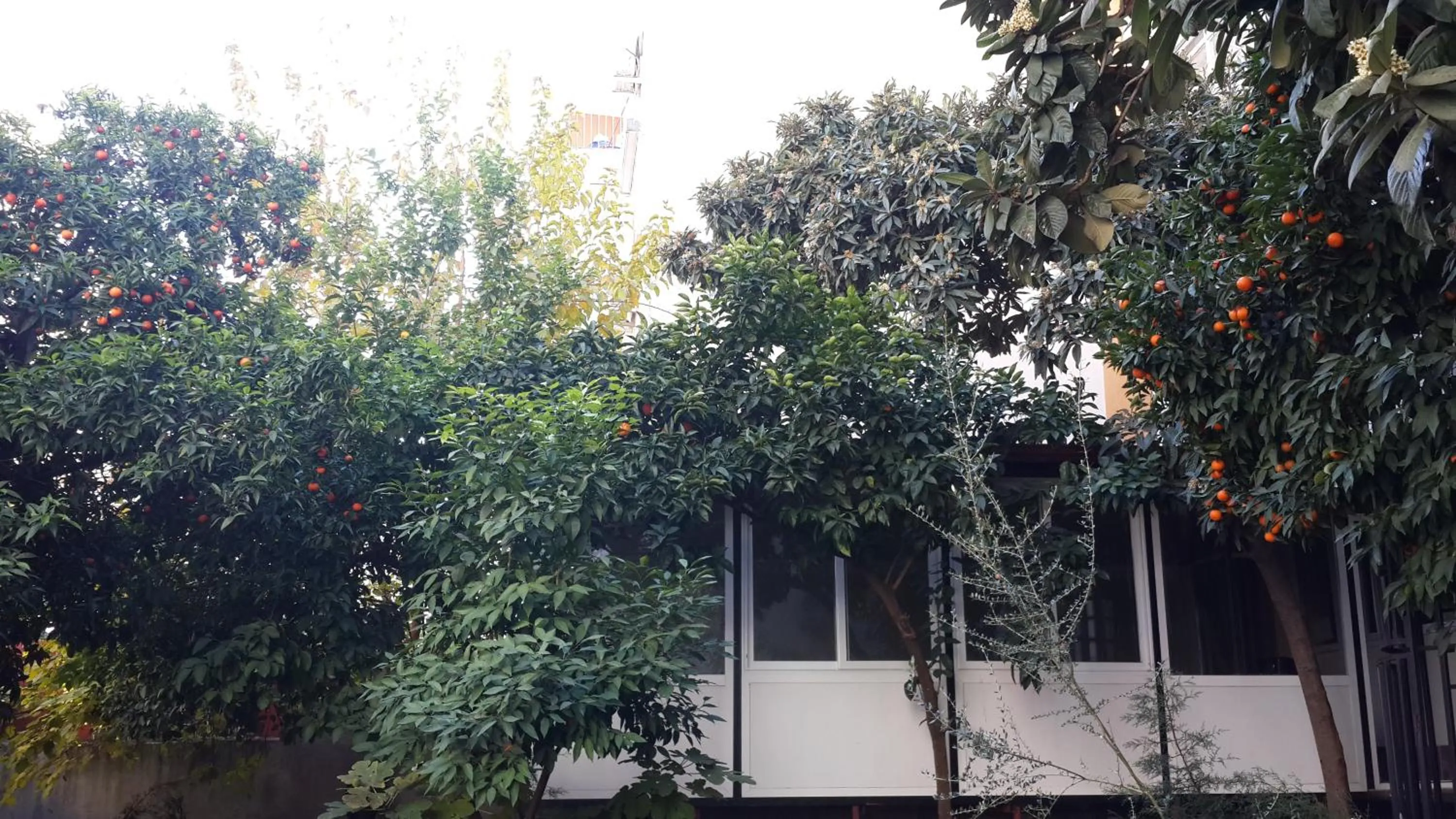 Garden in Uyar Palace