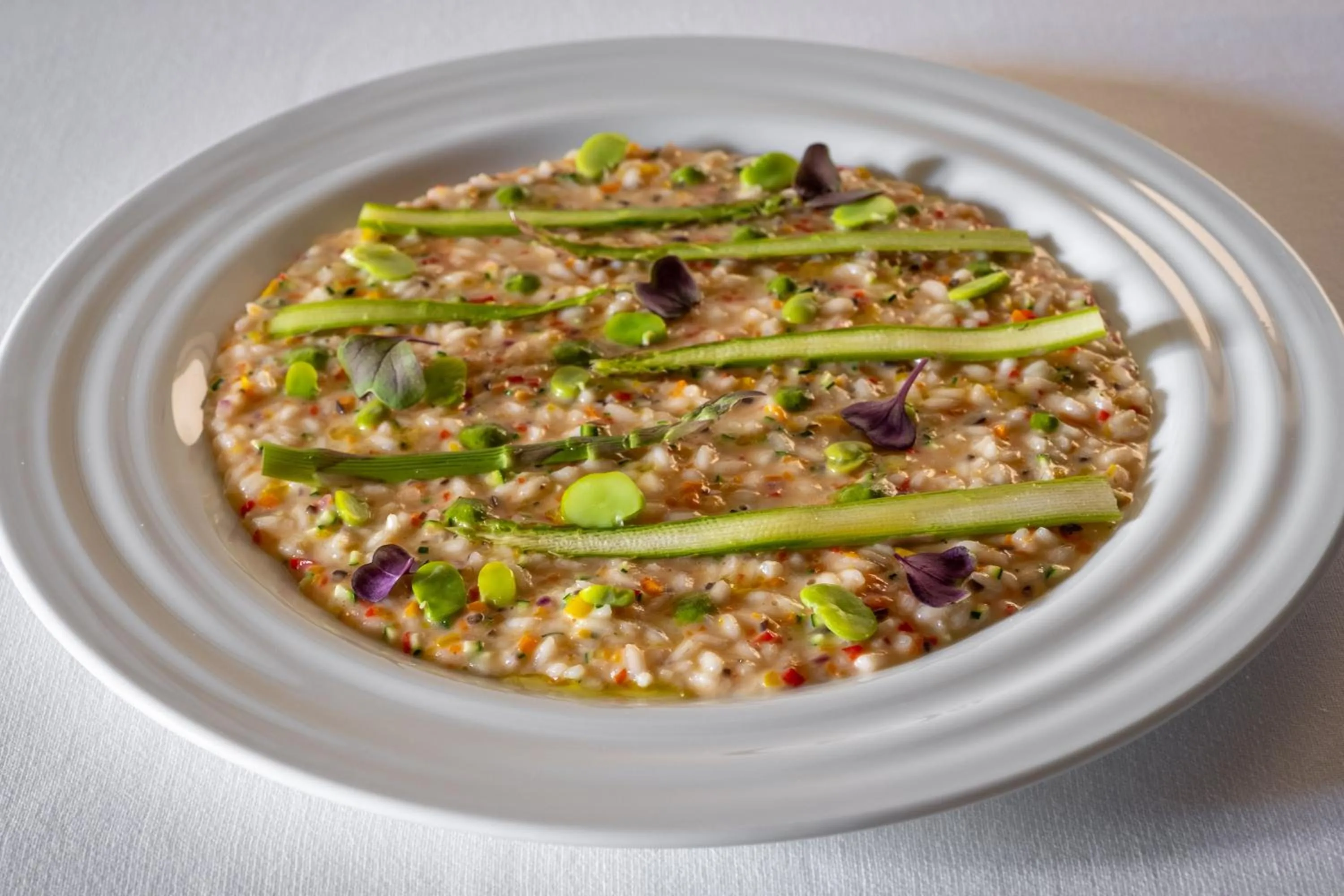 Dinner in Palazzo Ducale Venturi - Luxury Hotel & Wellness