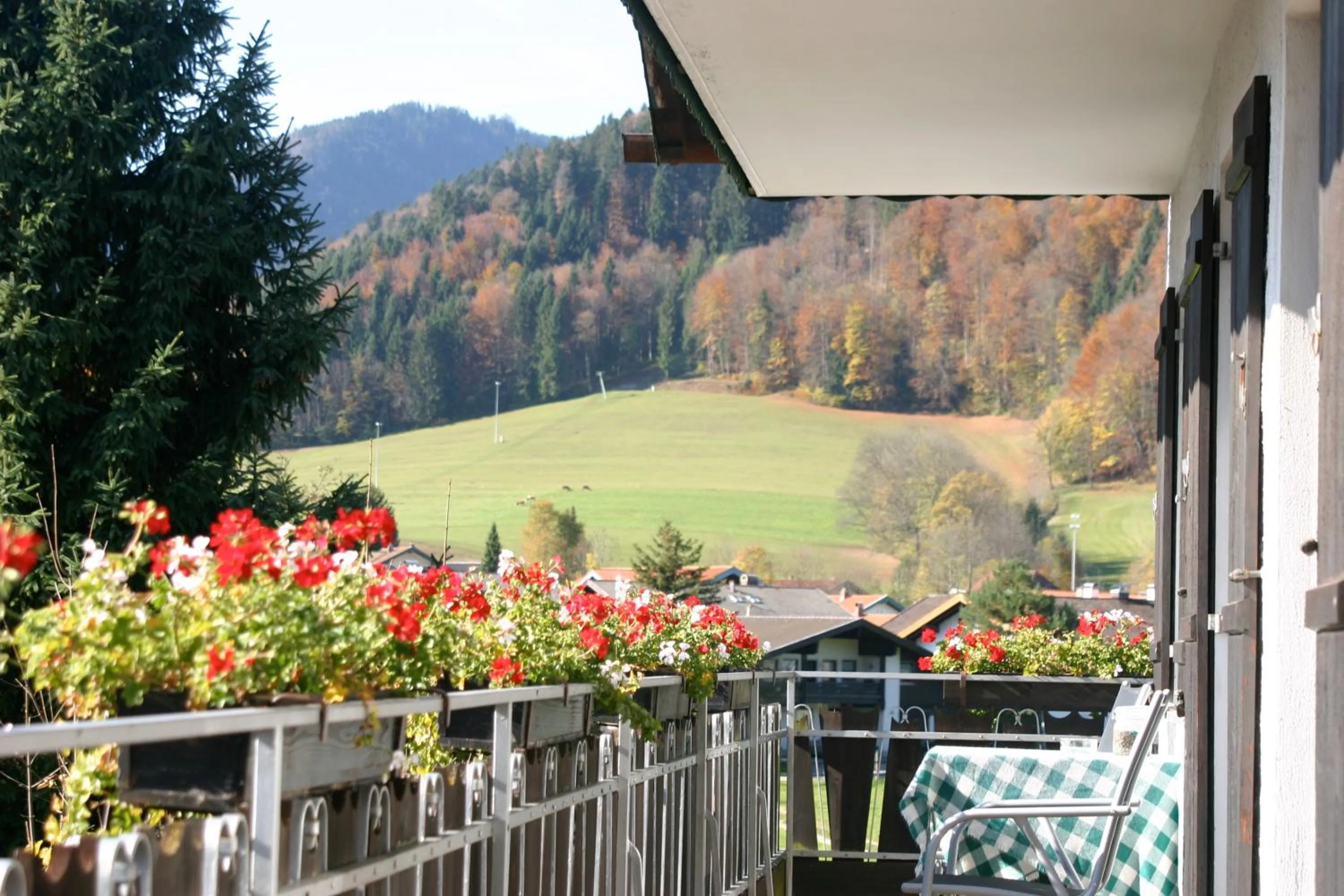 Garden view in Pension Bergblick
