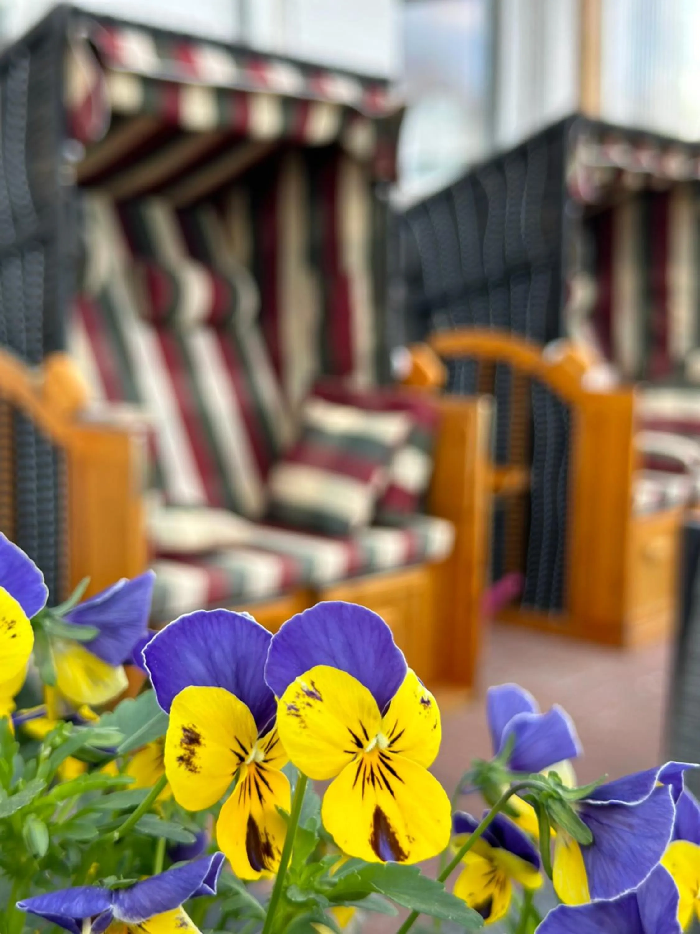 Property building in Hof von Oldenburg