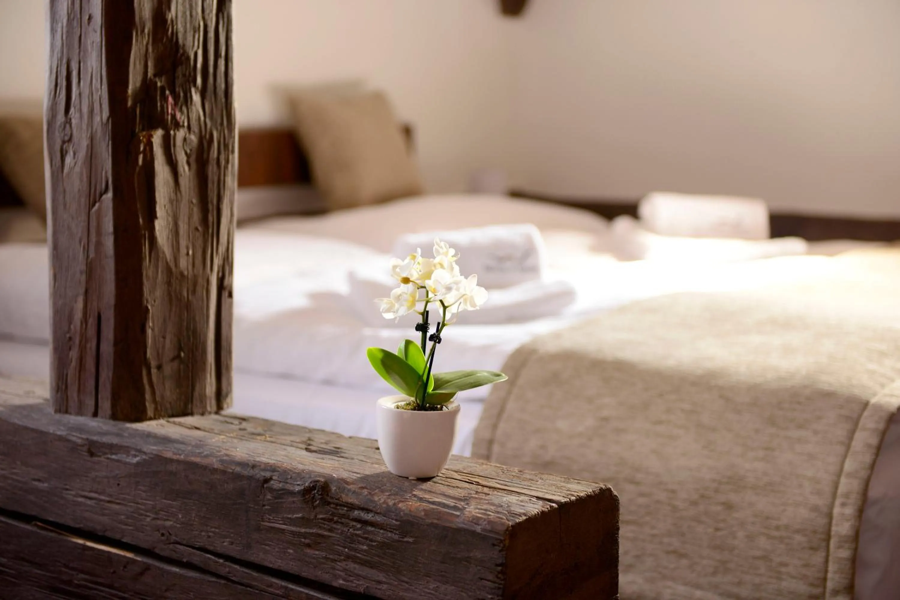 Bedroom, Bed in Hotel U Hada Žatec