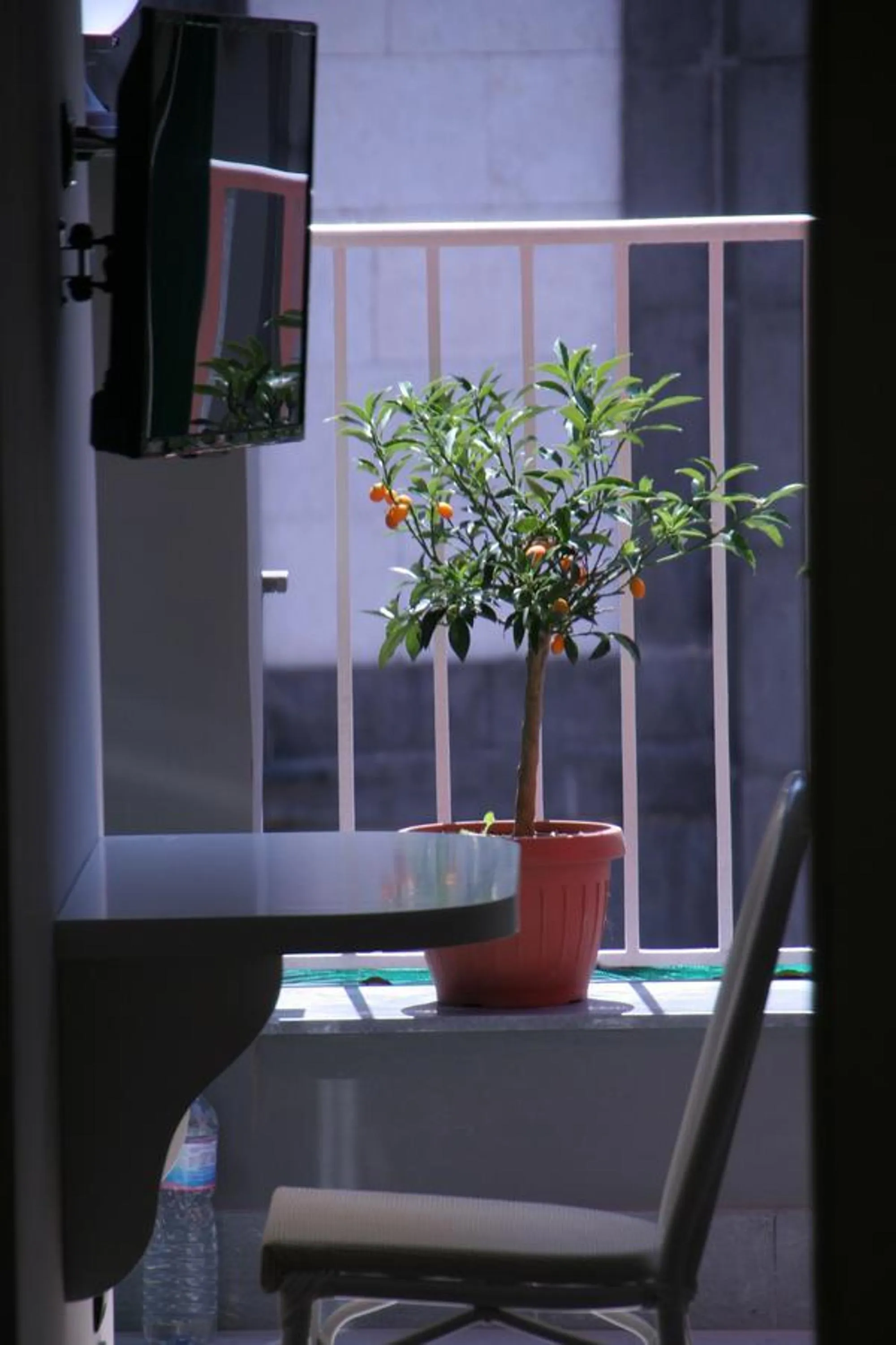 View (from property/room) in B&B Federico II