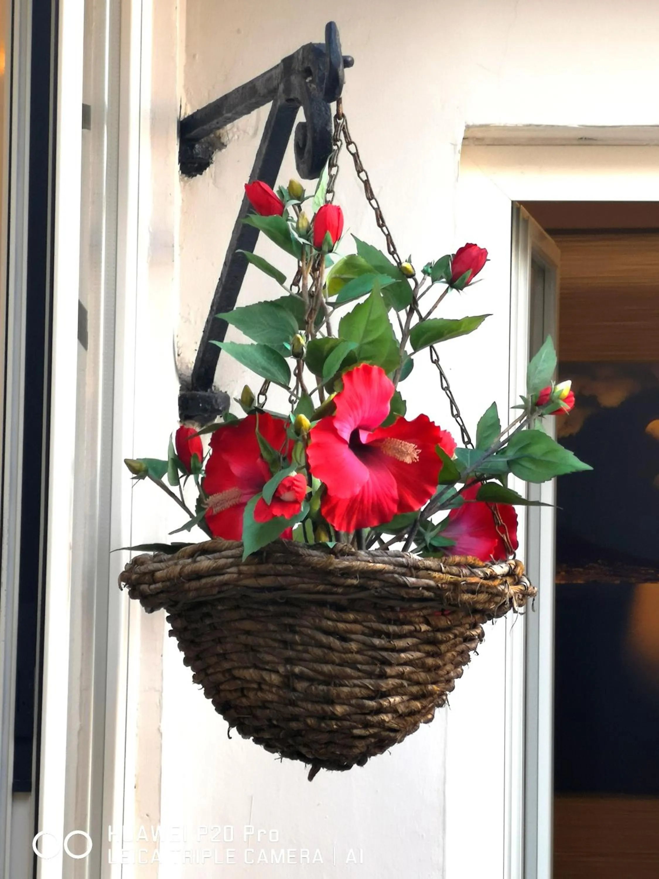 Summer in B&B Federico II