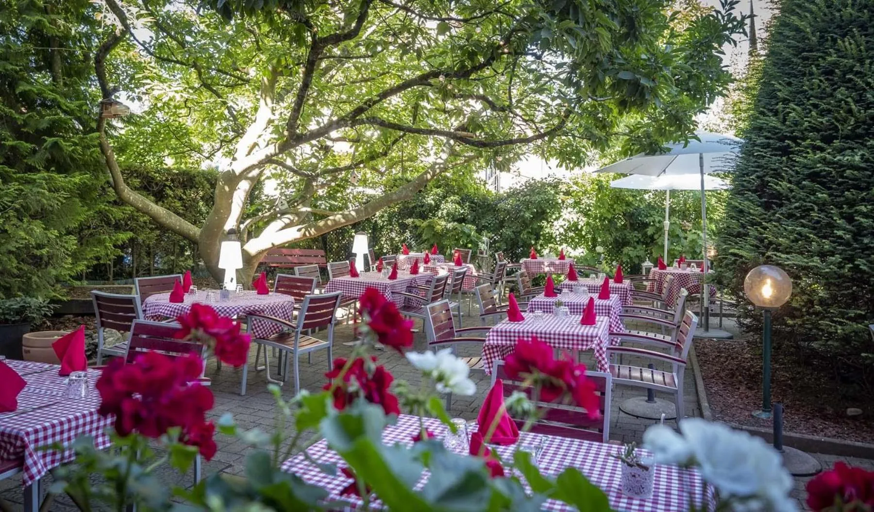 Garden in Hotel Restaurant Aux Sapins