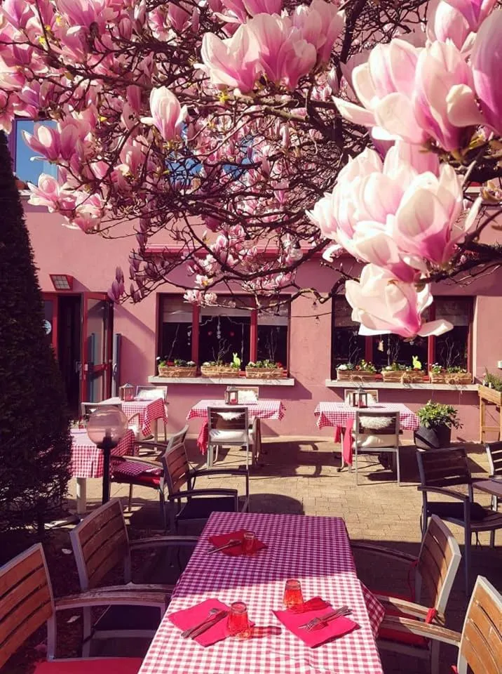 Balcony/Terrace in Hotel Restaurant Aux Sapins