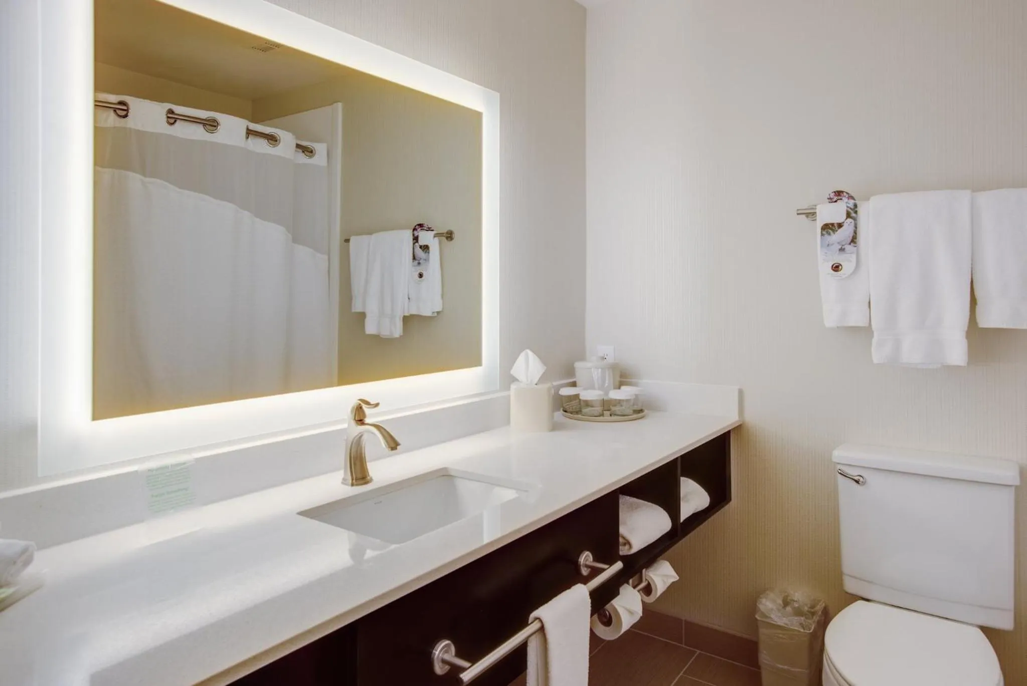 Bathroom in Holiday Inn Express Bellingham by IHG
