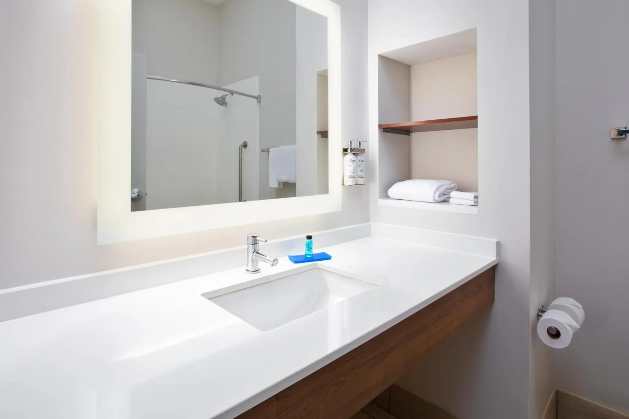 Bathroom in Holiday Inn Express Hotel & Suites Athens by IHG